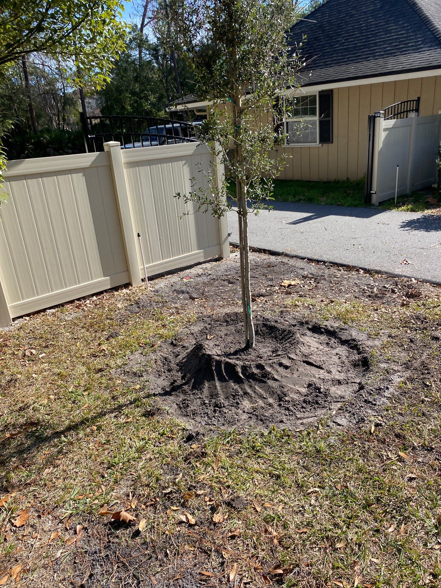 Deerwood Resident | Tree Installation by ProGreen Services