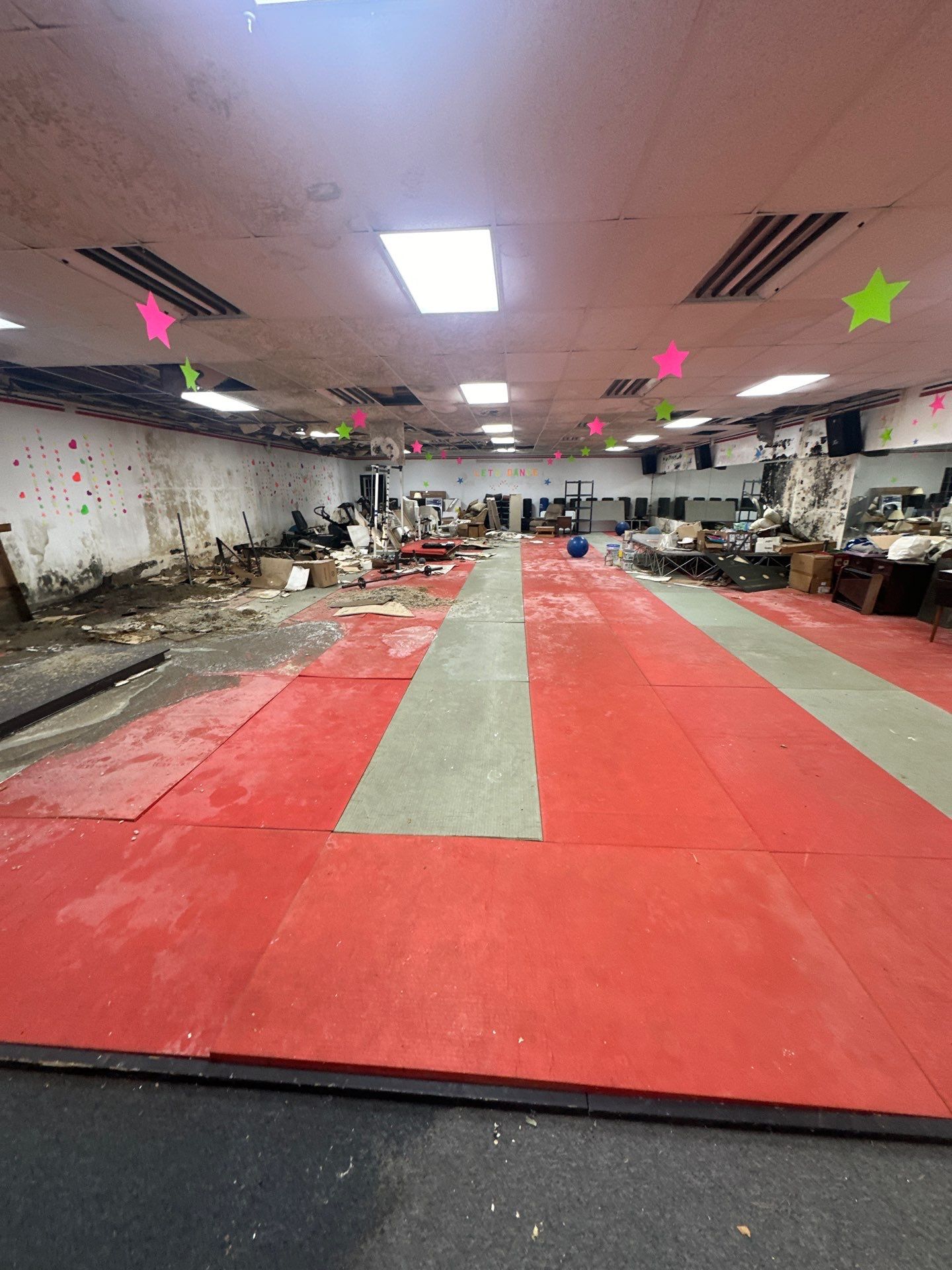 Extreme Mold Contamination: Full-Building Remediation Case Study by BlueRed Restoration