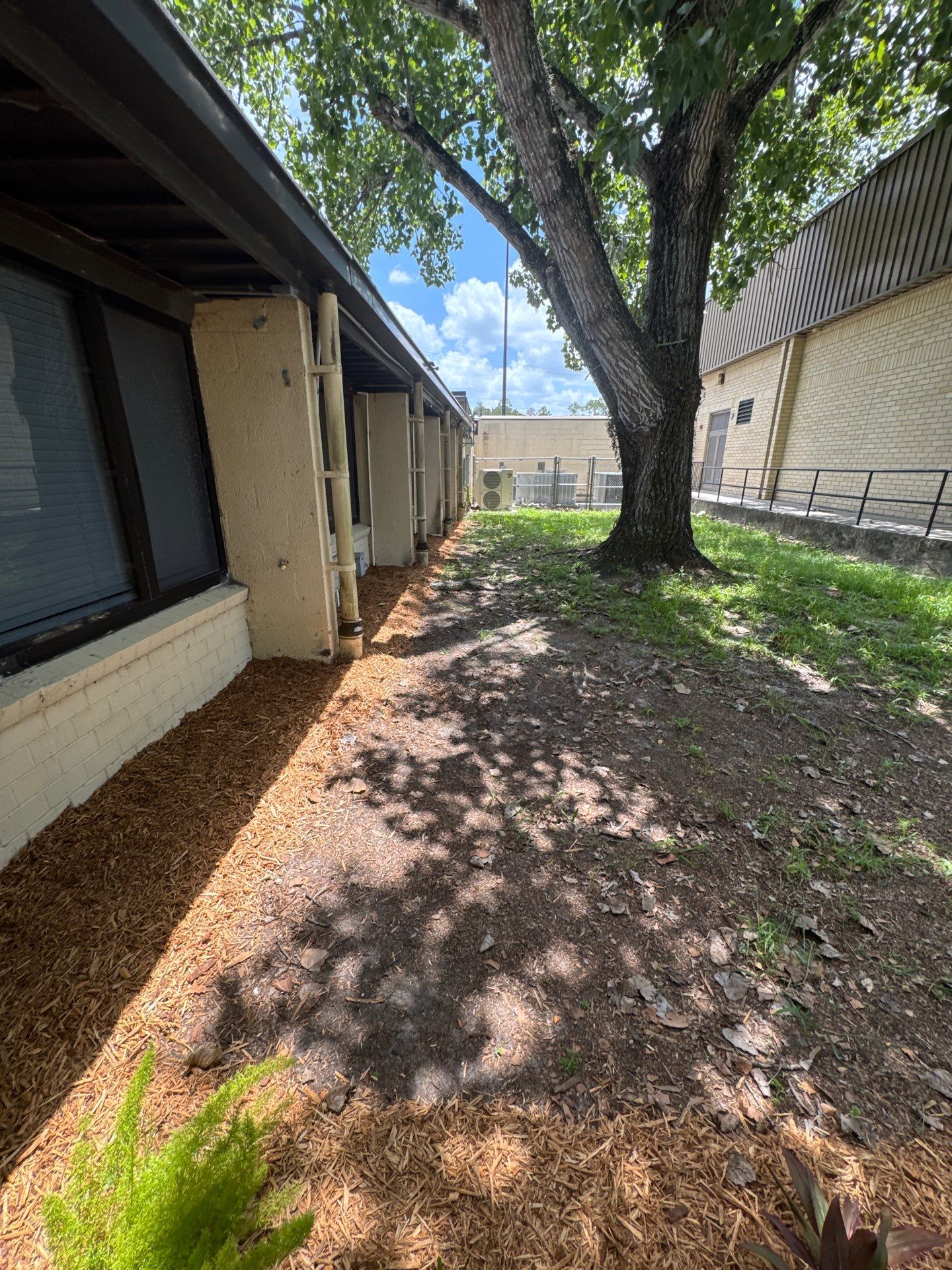 Green Cove Springs Junior High School | Landscape Refresh by ProGreen Services
