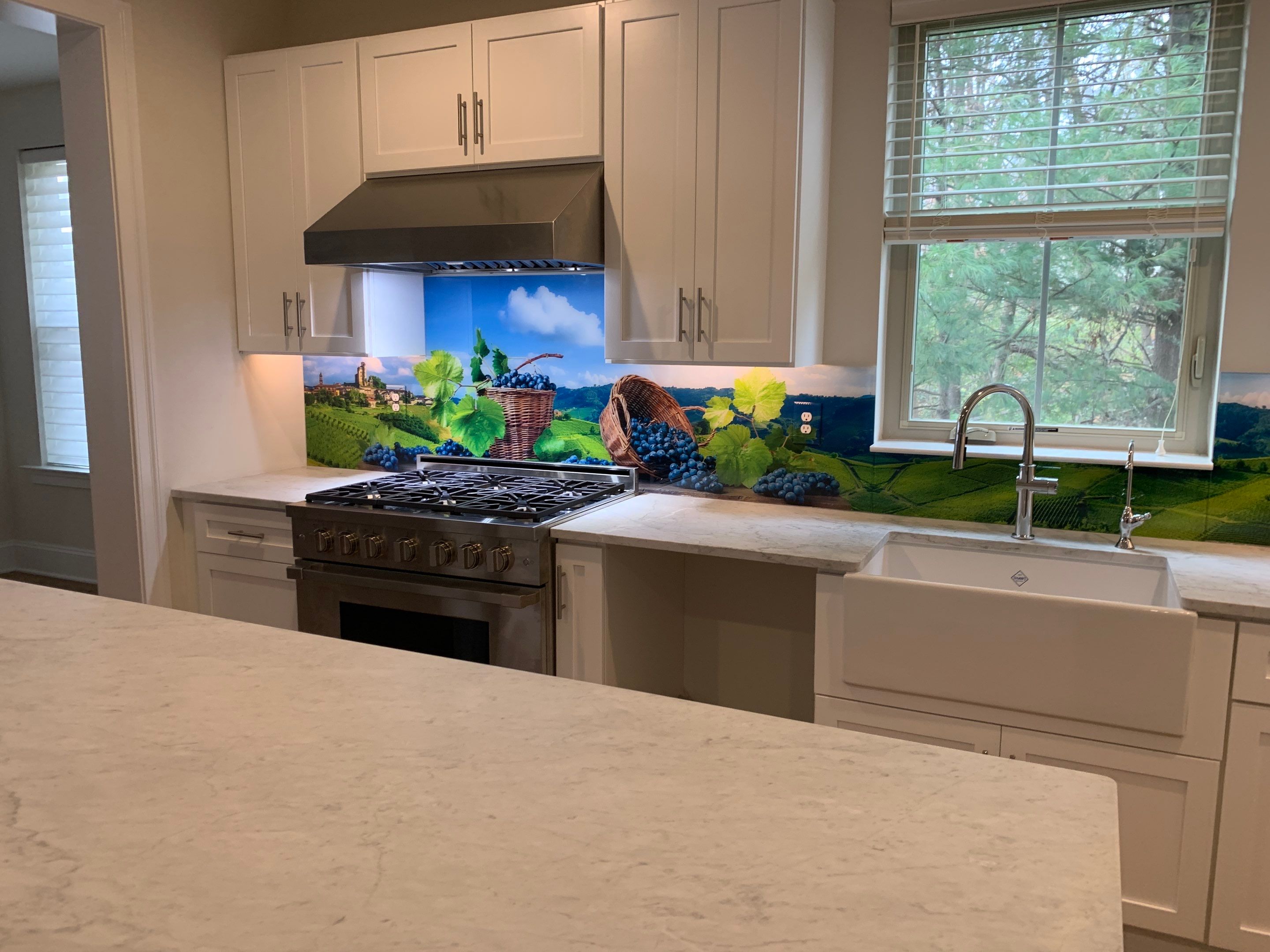 Kitchen Remodel using Italian Vinyard IMAGIO Solid Glass Backsplash by IMAGIO