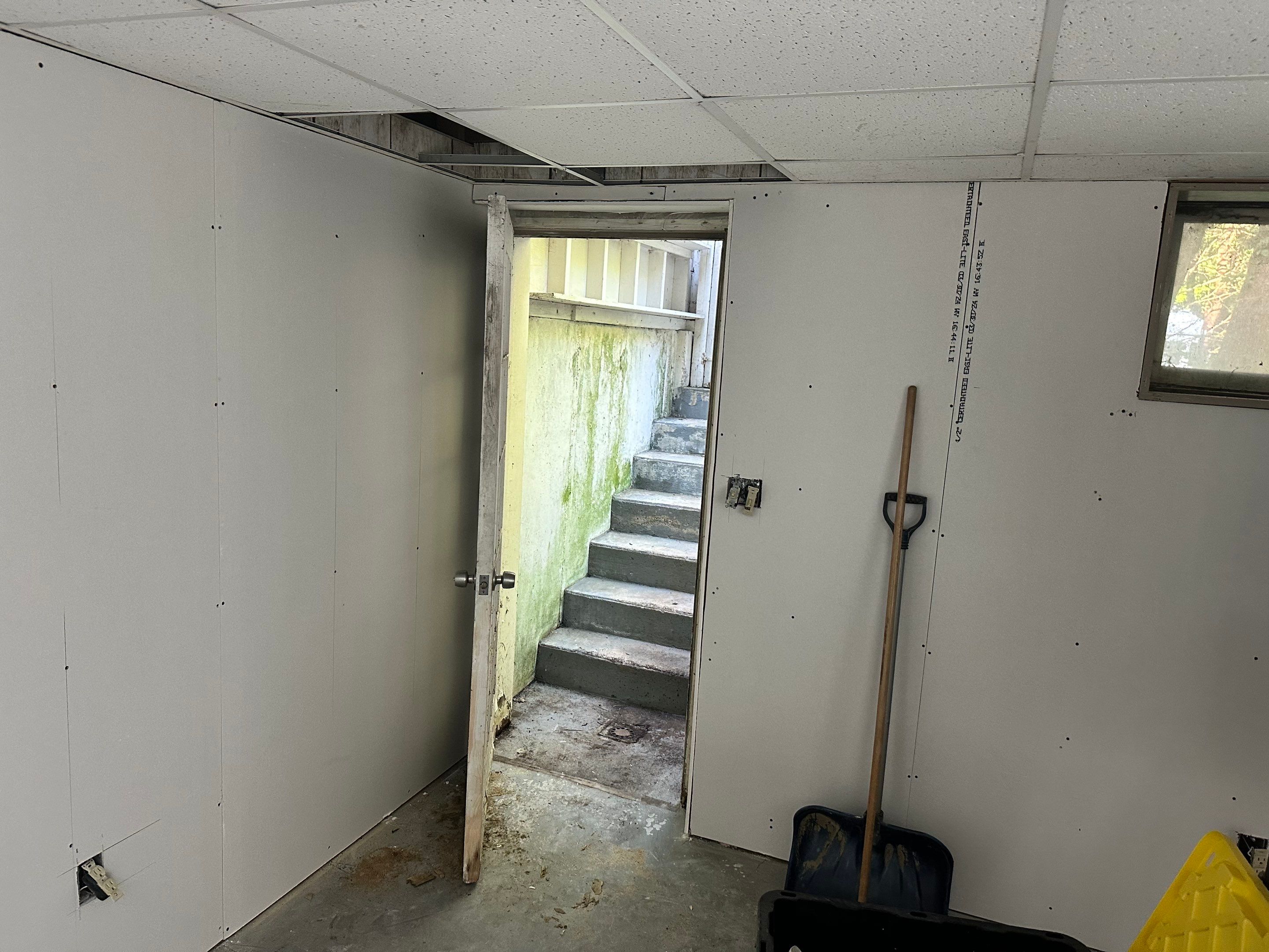 Basement Mold Remediation by Home Guarantee, LLC