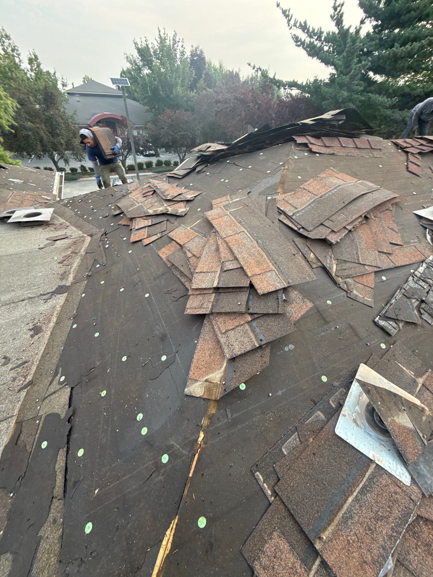Boise Commercial Roof Replacement with Brown Architectural Shingles by Olive Roofing