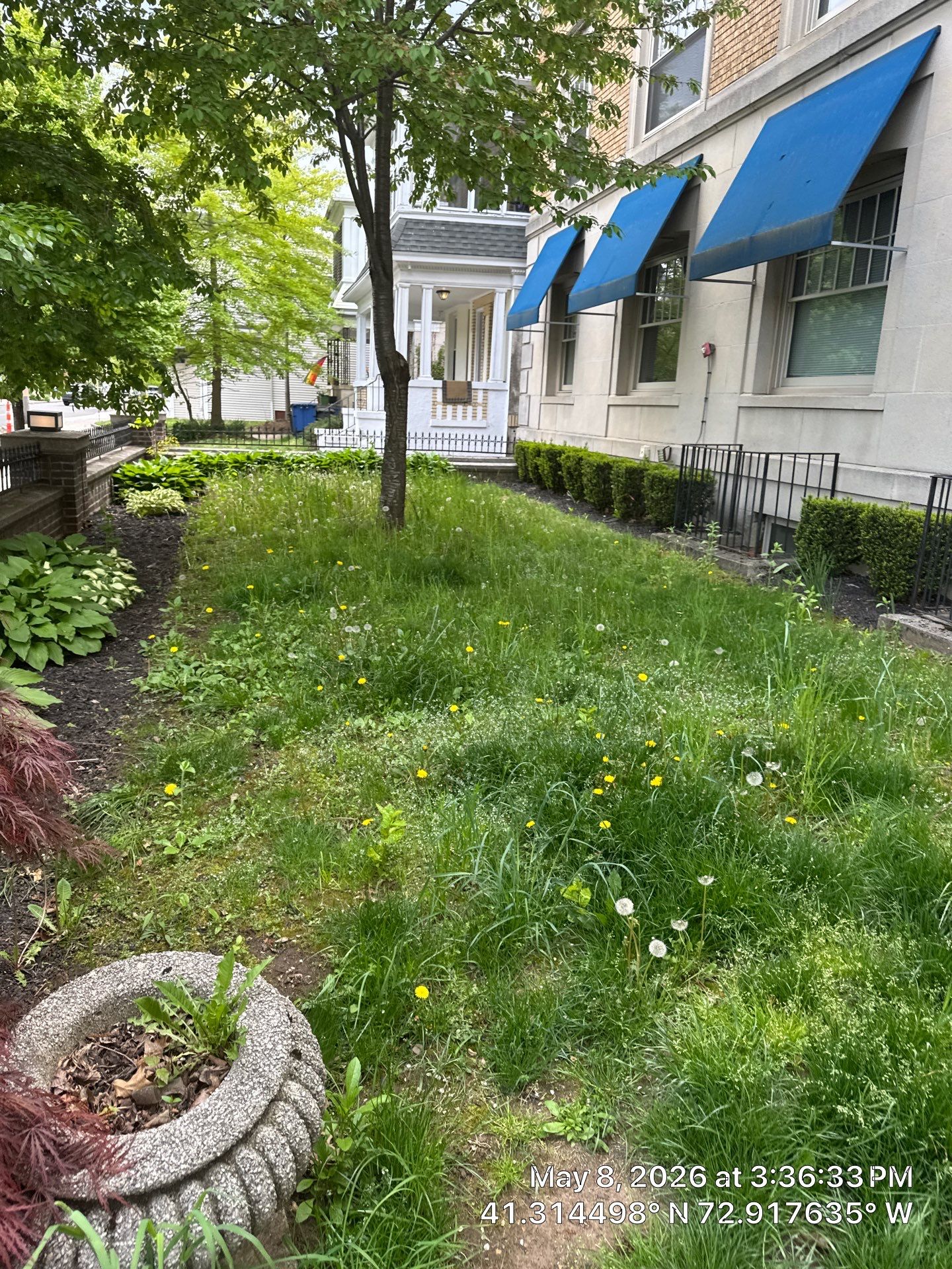 Professional Lawn Care and Seasonal Landscaping in New Haven by Diamond Image LLC