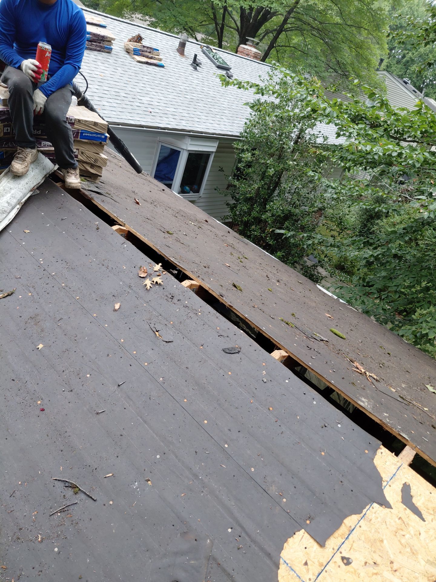 Springfield : with CertainTeed Landmark Pro in Max Def Cobblestone Gray  by RM Banning, Inc.