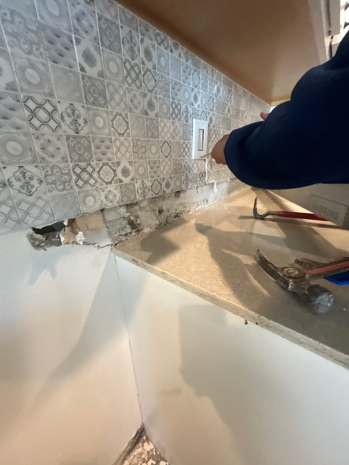 Palmetto Mold Removal & Repair by Ampm Restoration Services 
