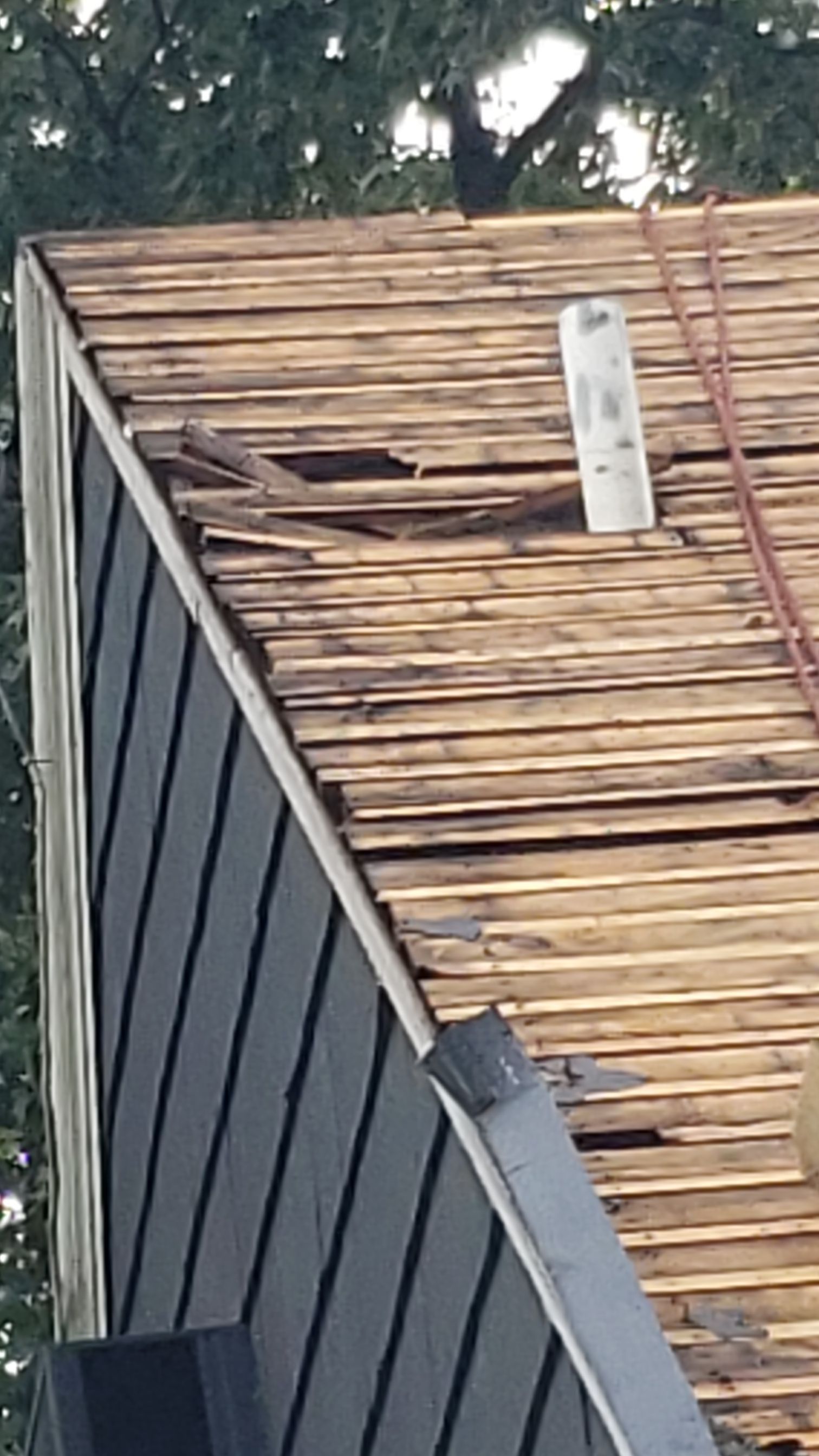 Atlas Pinnacle Pristine Scotchgard: Black Drip Edge: Black by Eagle Eye Roofing