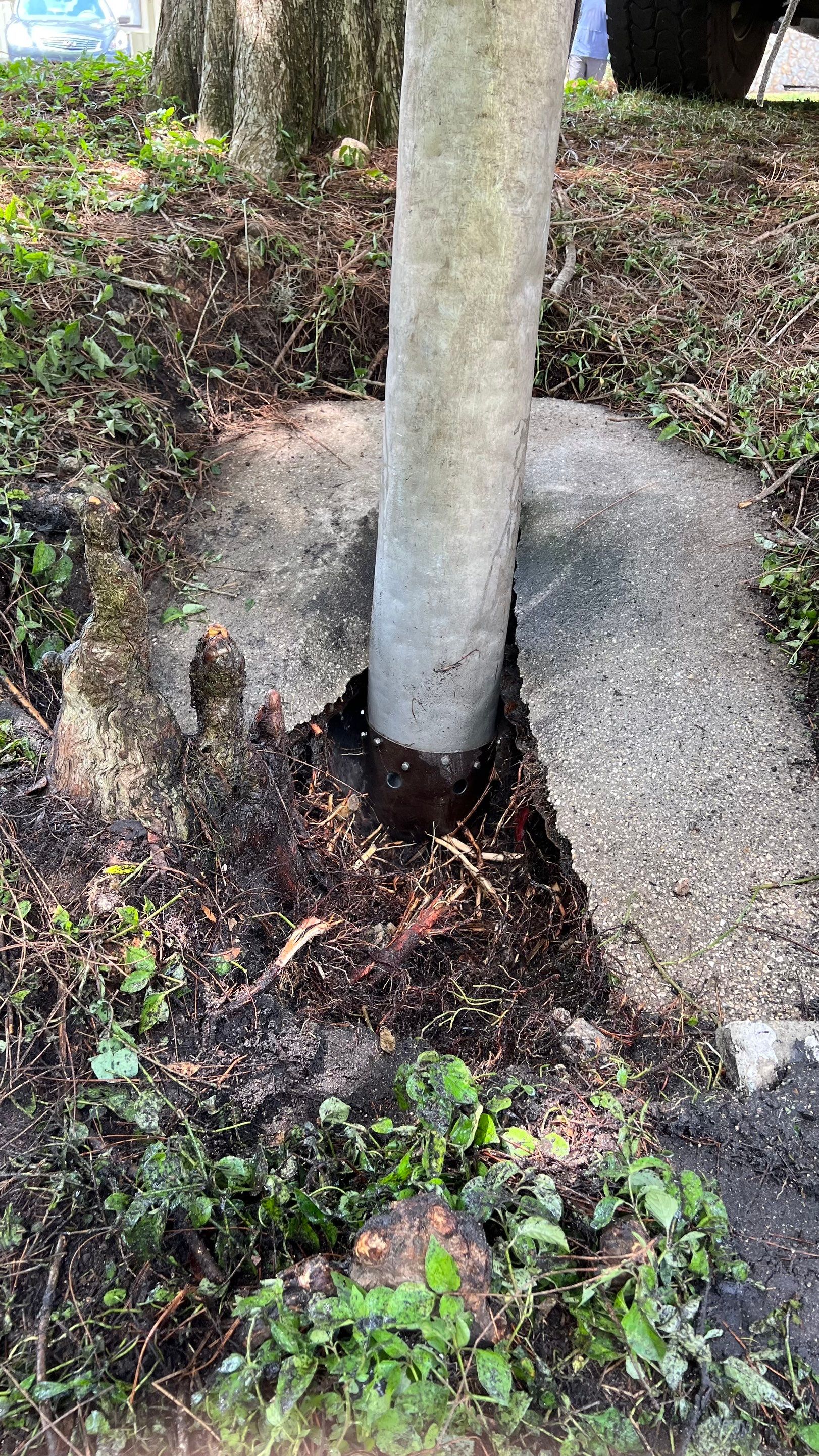 Apartment Complex Storm Water System Cleaning and Maintenance by APS Power & Water