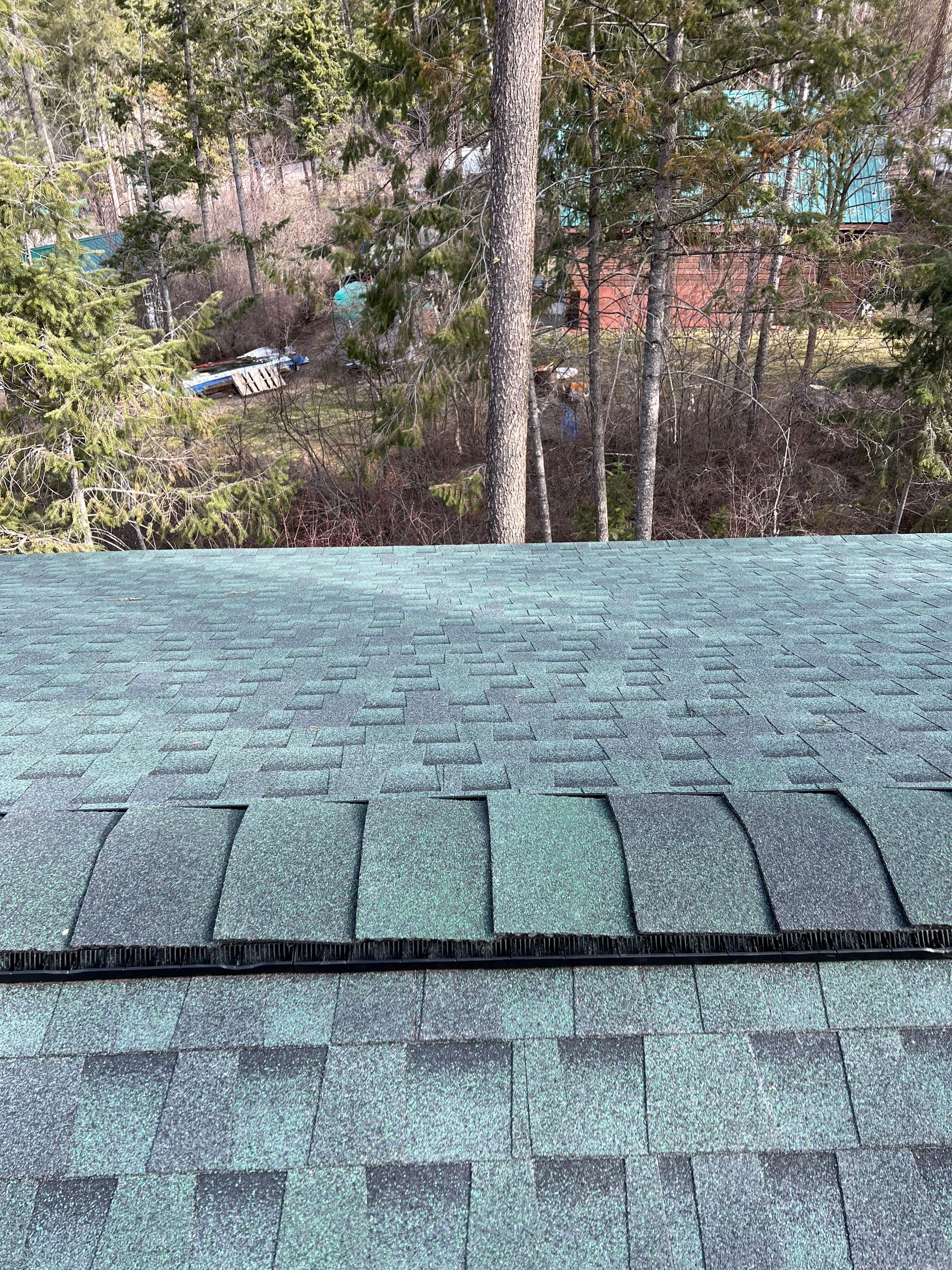 GAF Timberline HDZ - Hunter Green by Montana Roofing Solutions