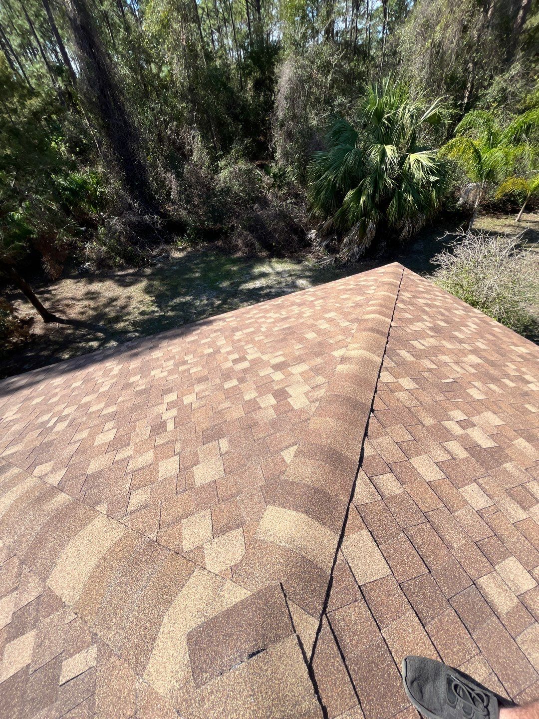 Shingle Reroof Replacement Edgewater FL by Pinnacle Roofing Group