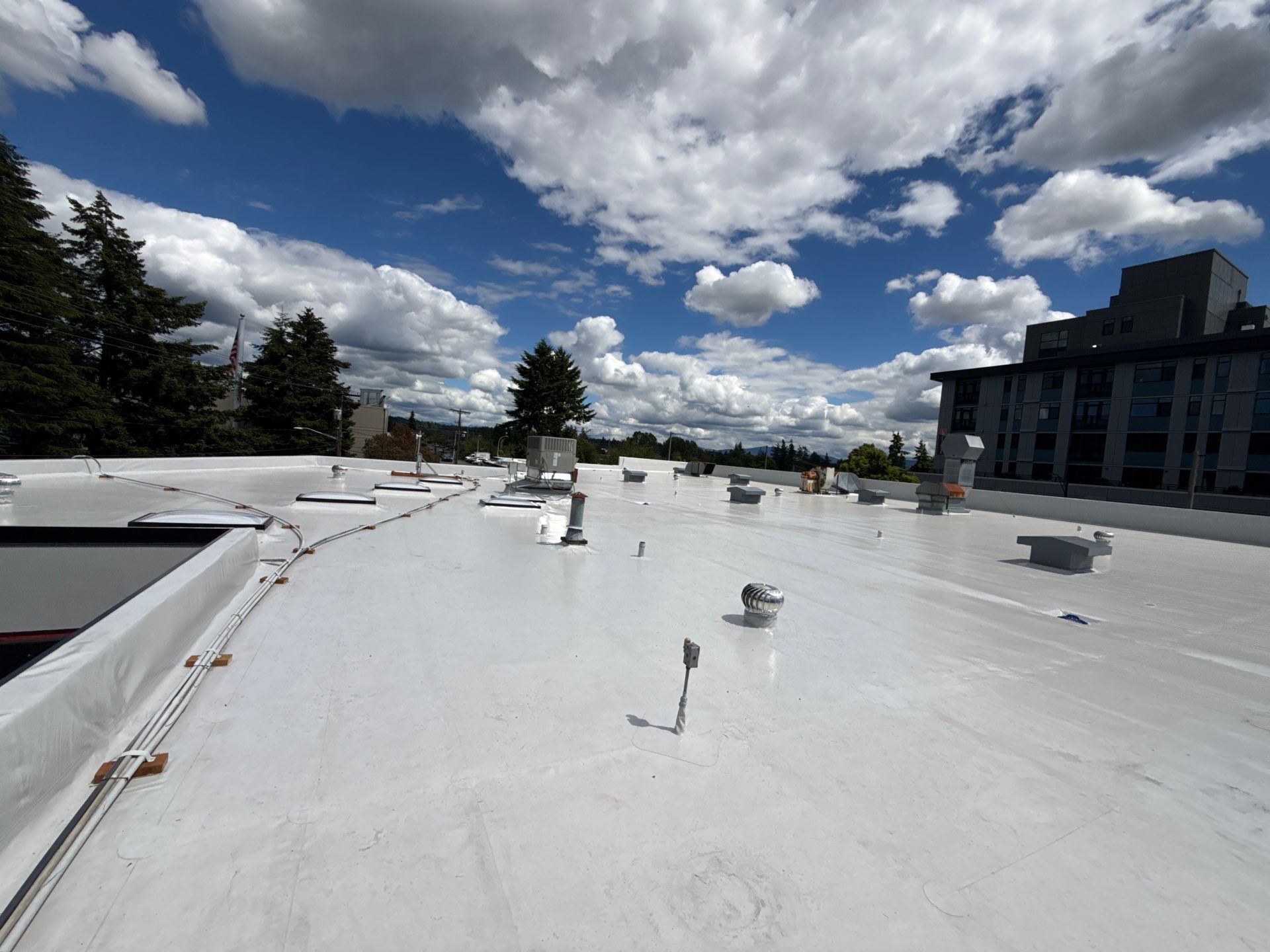 2026 Bellevue Commercial Structure by Alternative Roofing Systems Inc. 