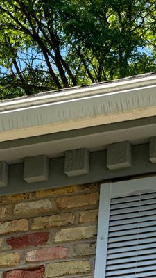 Turtle Shell gutter protection installation in Naperville, IL 60540, photograph 11