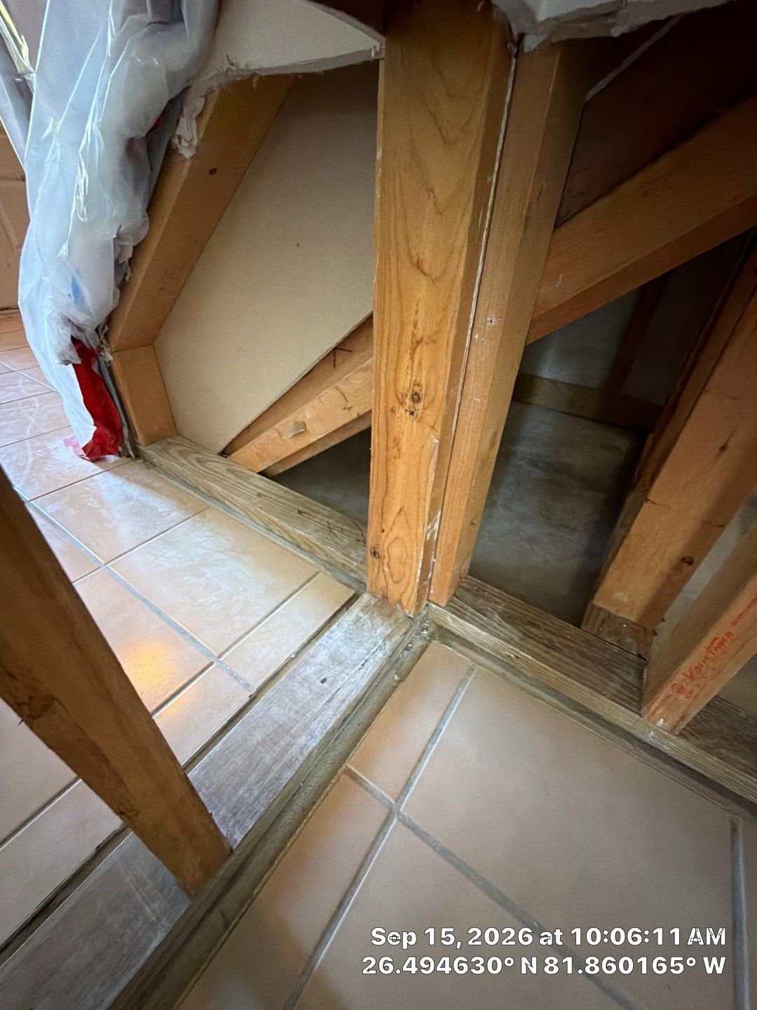 Mold Remediation and Interior Containment Services in Fort Myers by Microscope