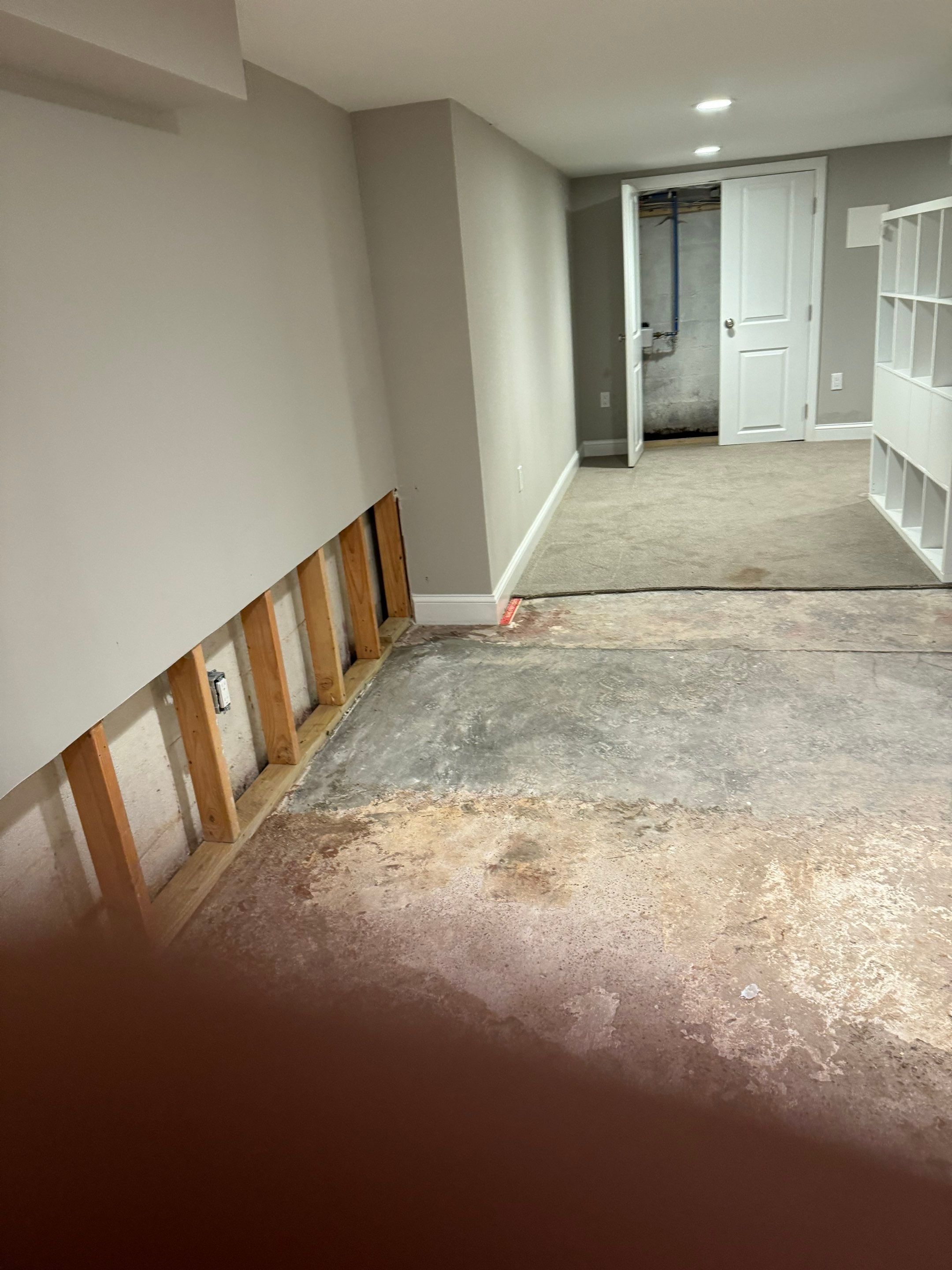 Interior French Drain Livingston NJ by Pure Service Pro, LLC 