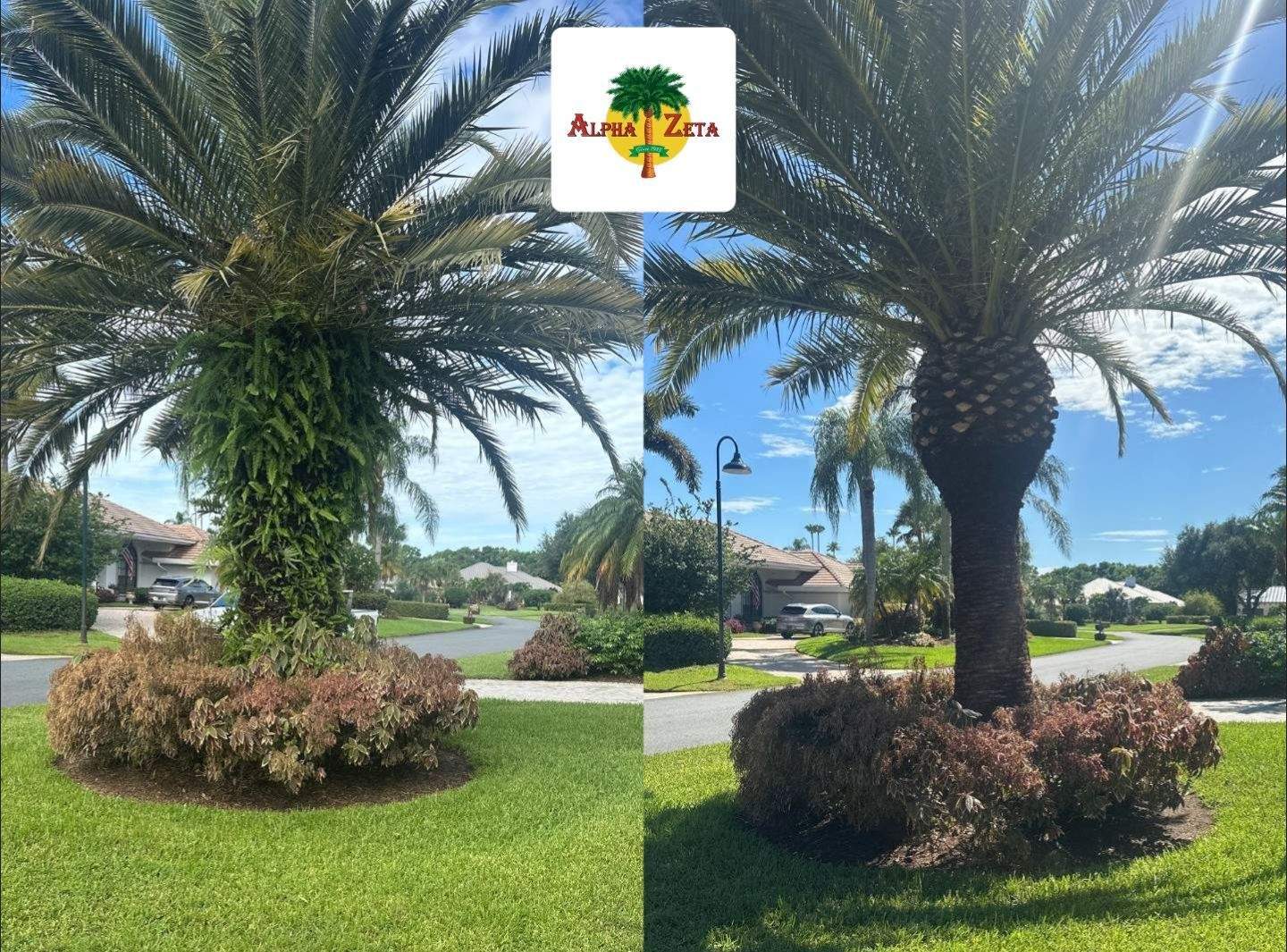 Palm City Revival at Pipers Landing by Alpha Zeta Enterprises Inc