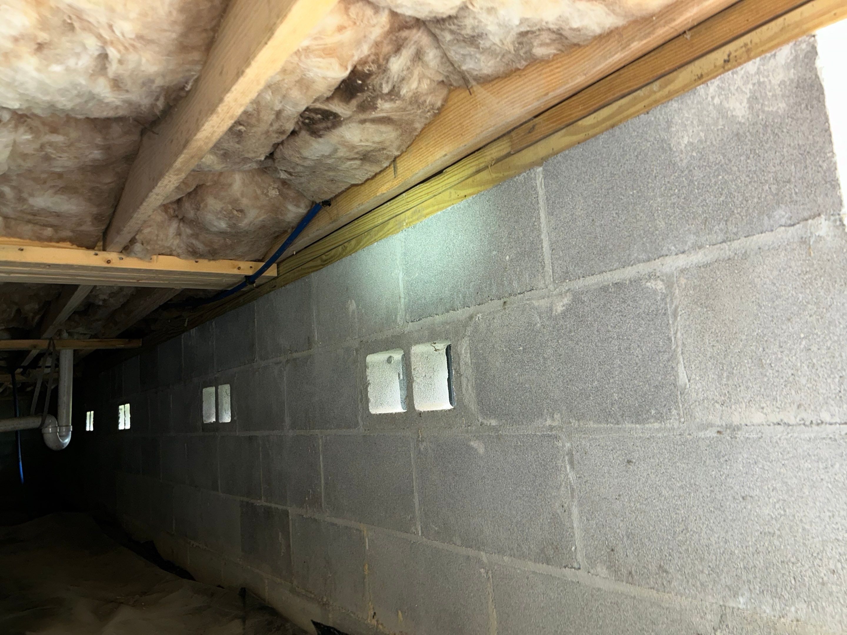 Premium Encapsulation with 20Mil, Borafoam insulation and Light System. by Impact Crawlspace