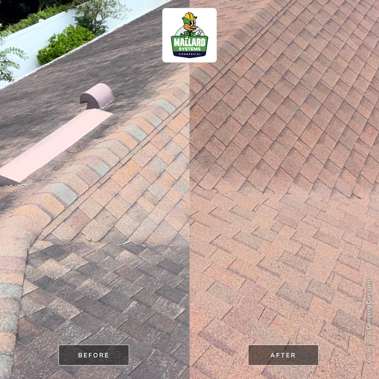 Residential Shingle Roof Cleaning in Altamonte Springs by Mallard Systems