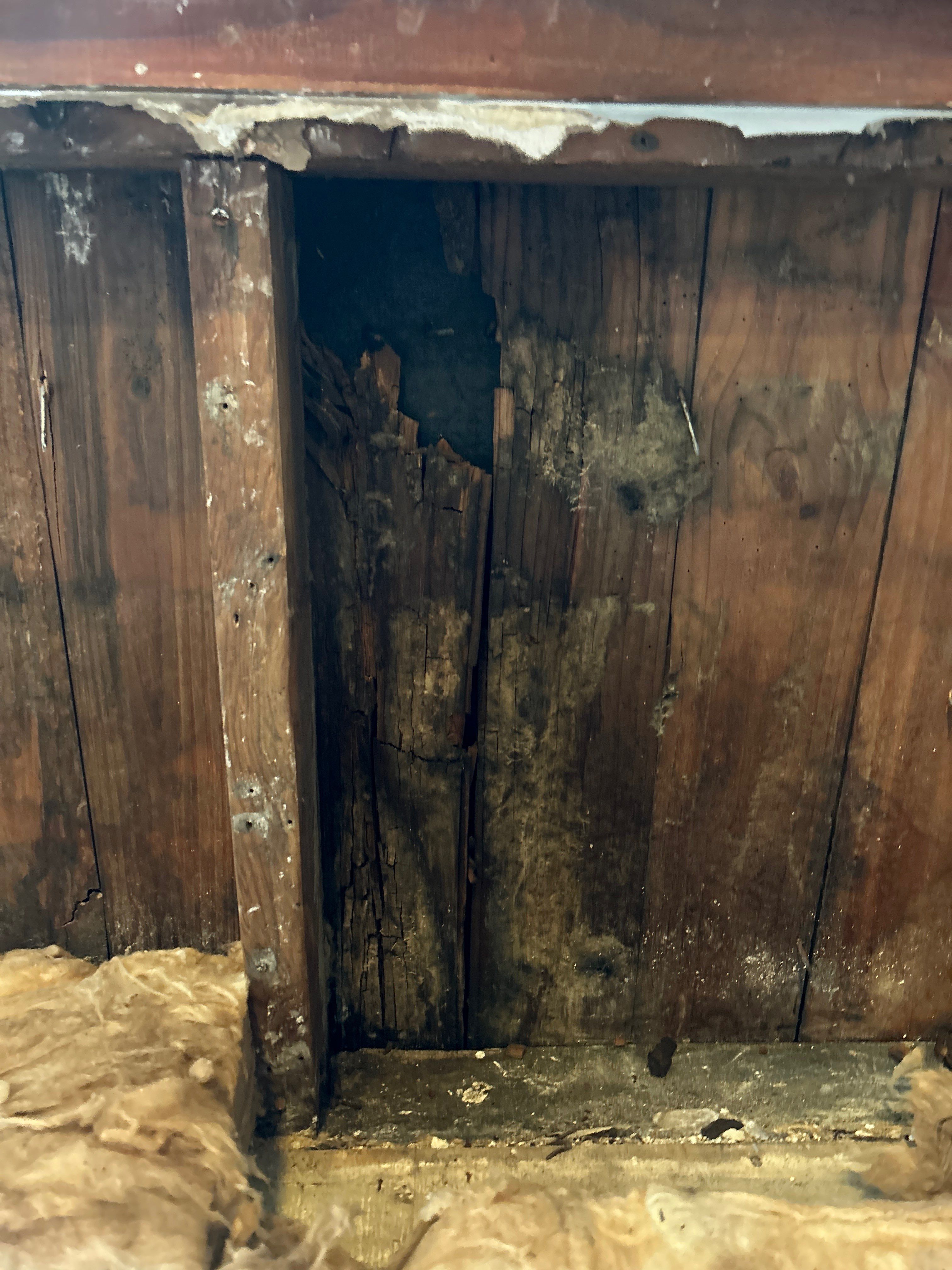 Water Damage by G2