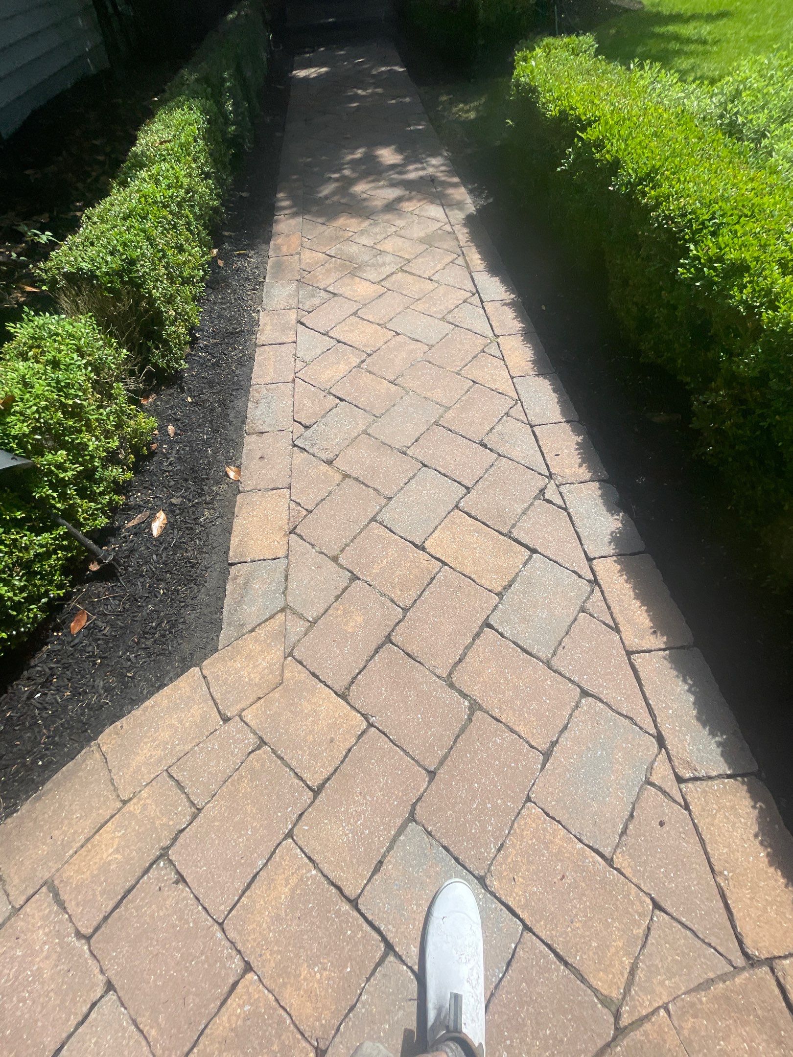 Residential Cleaning using Multi Services by SJ Exterior