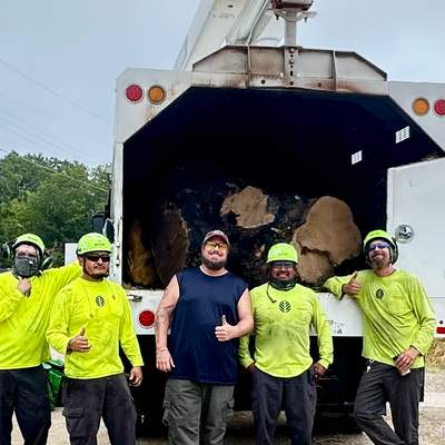 City Tree Company 