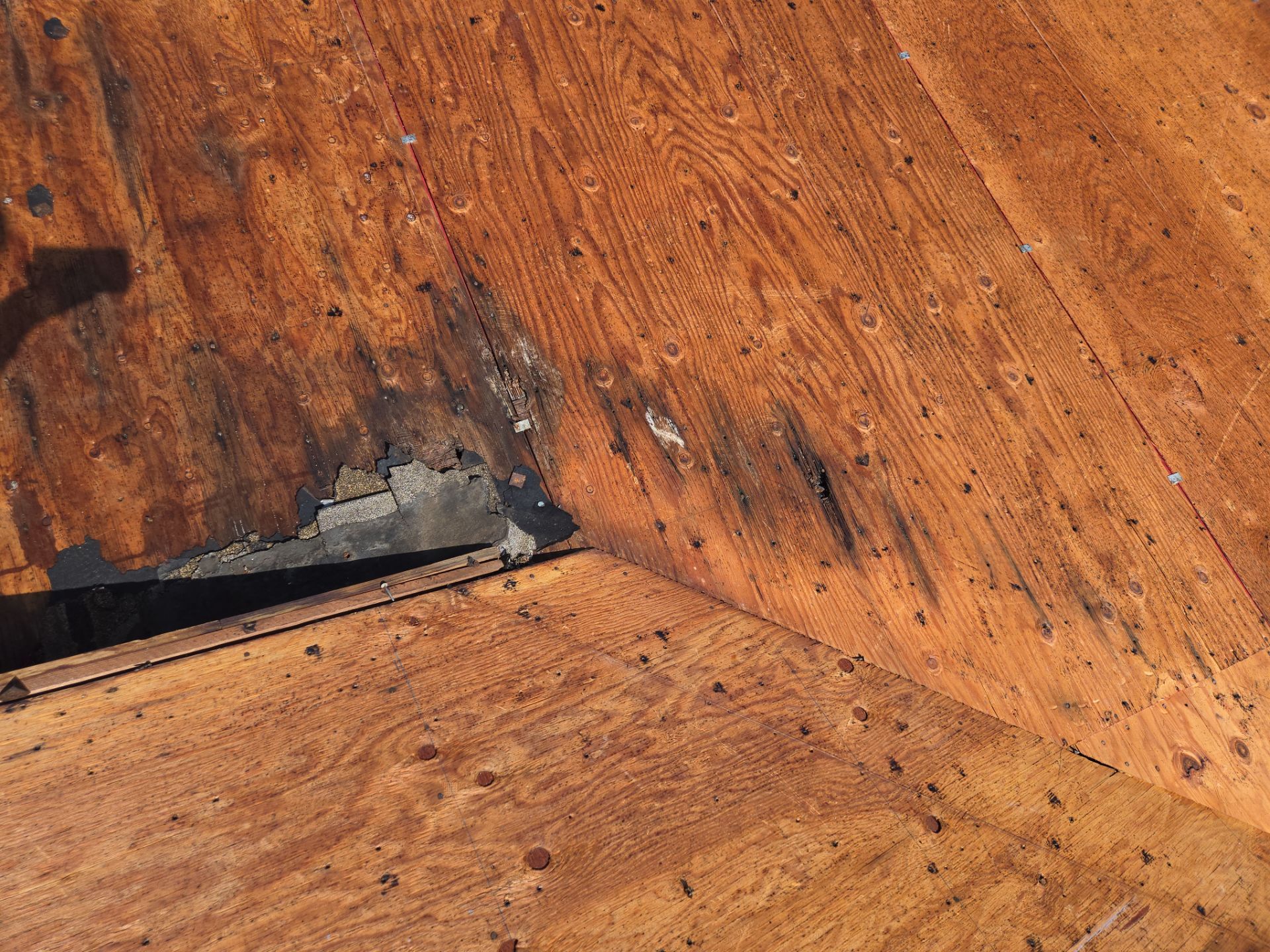 Project in St. Petersburg 33712 by Mitchell Roofing Company LLC 