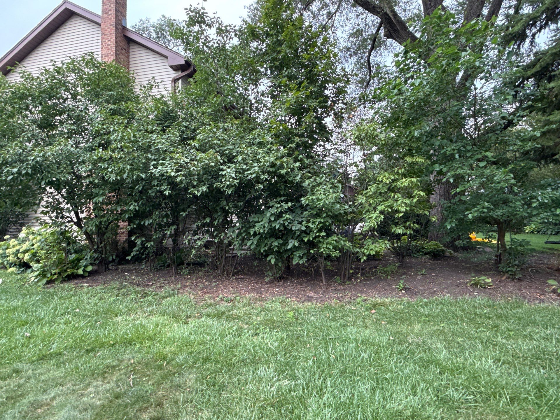 Madeline M. - Arlington Heights, IL by A&N