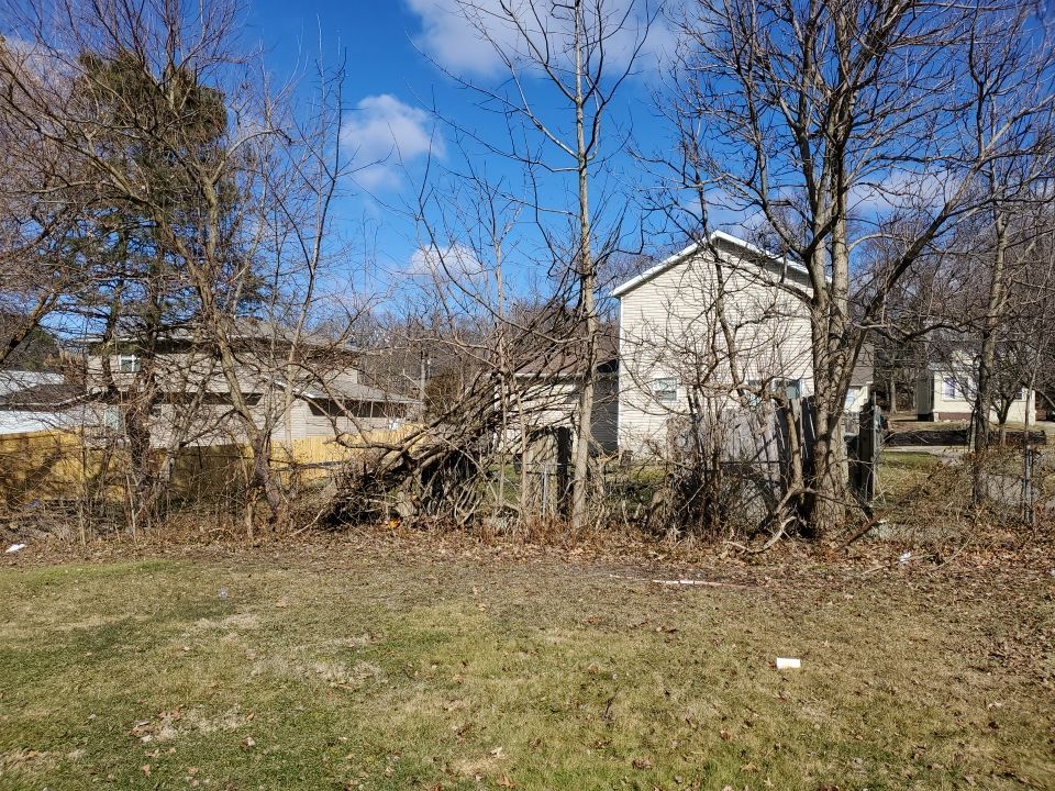 Tree Removal using Tree Removal by Mike Jones & Sons Tree Service LLC 