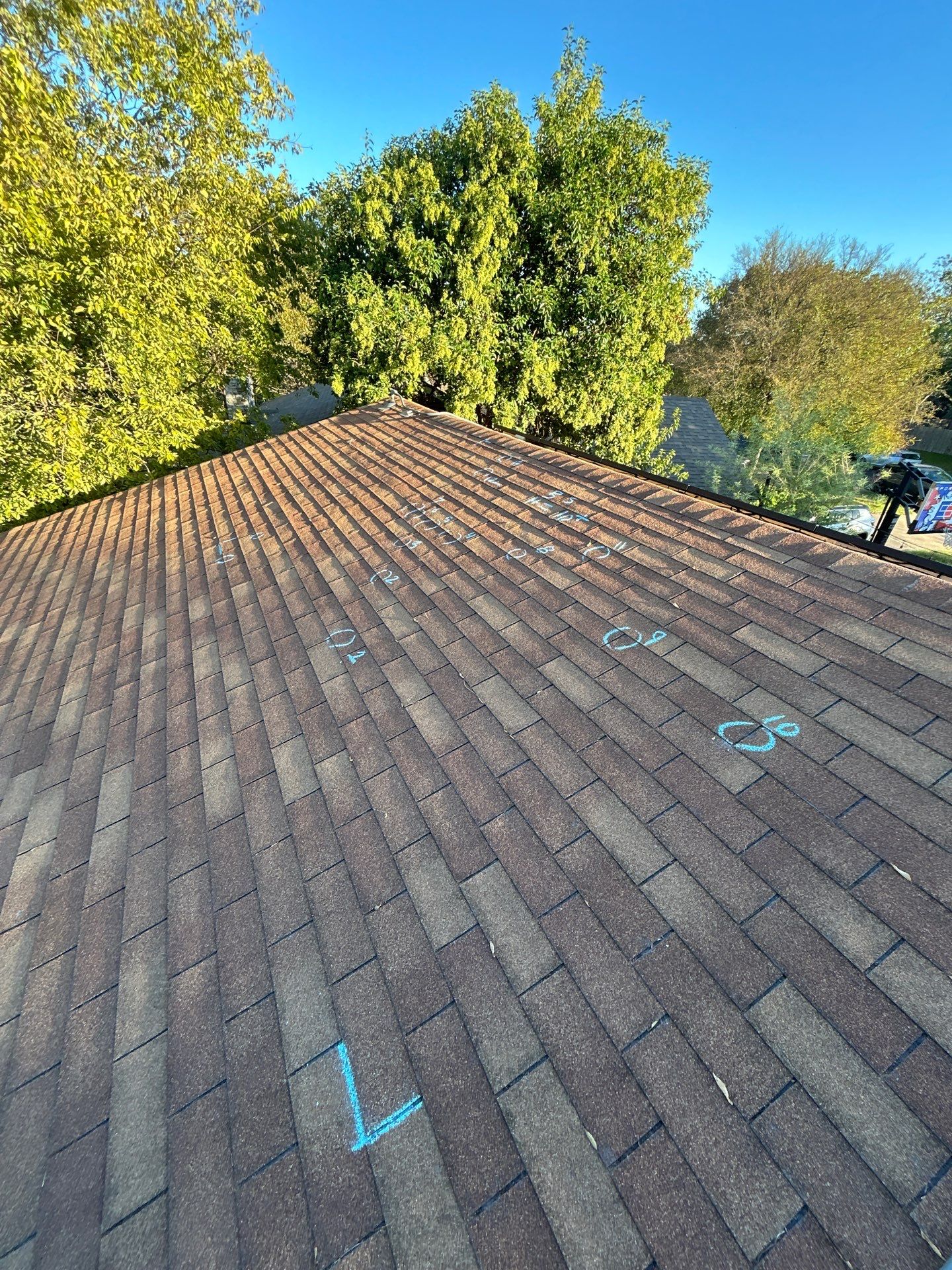 [Almost] All Trades by REPS OF TEXAS