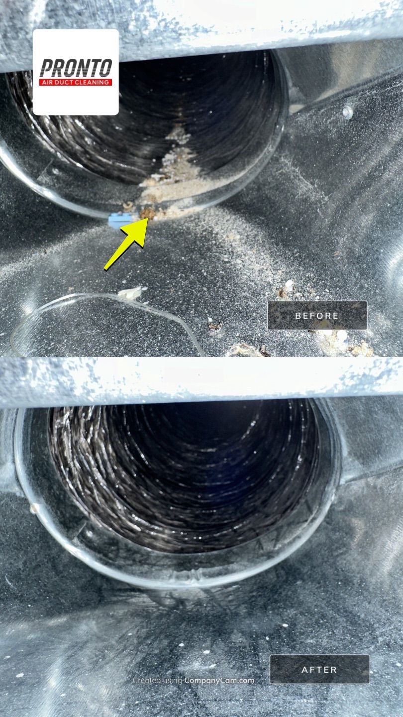 Air duct cleaning using Hypervac by Pronto Air Duct Cleaning