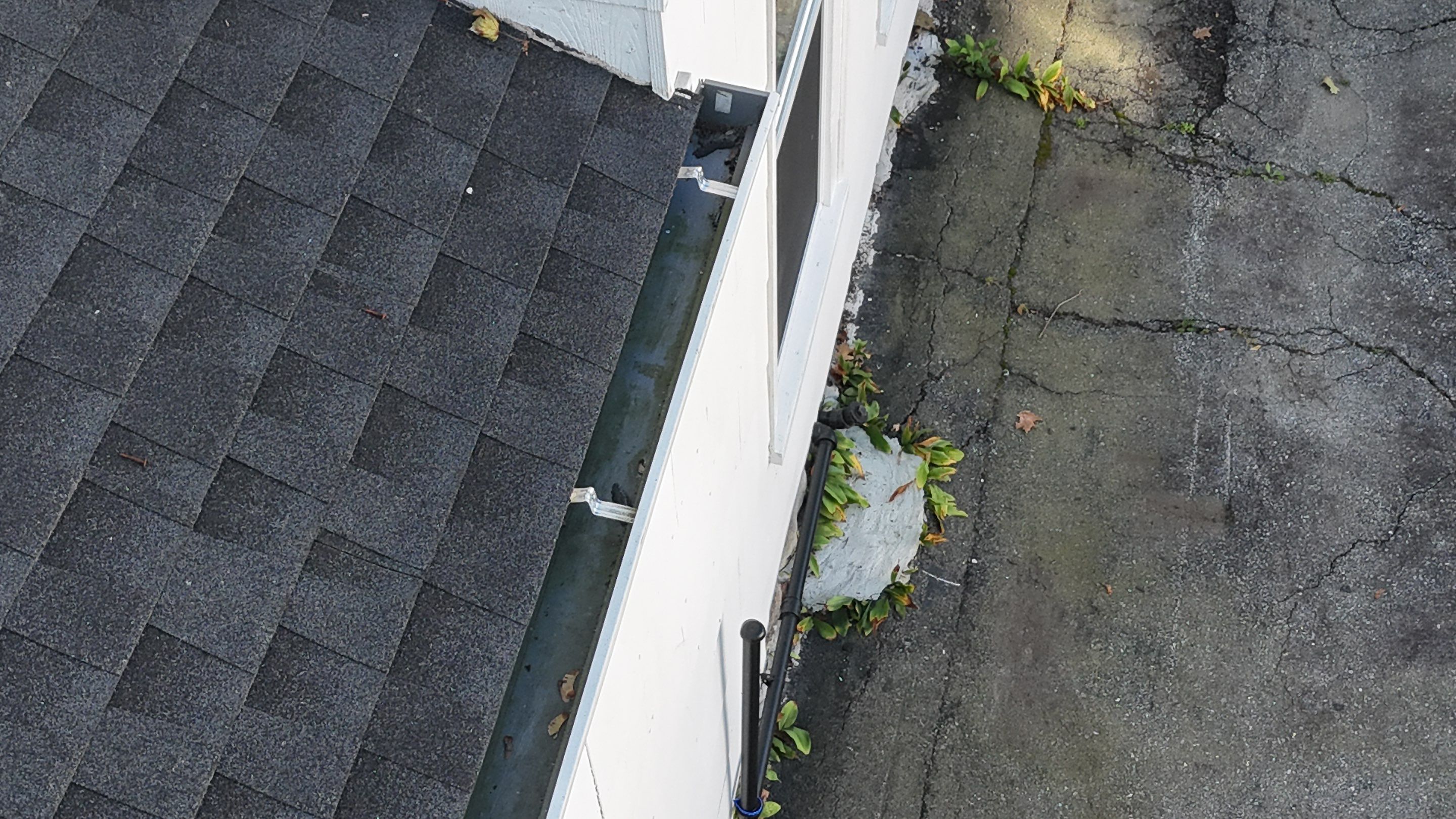 Maynard Gutter Replacement with Trex Leaf Guard System by Mighty Dog Roofing of Greater Middlesex County