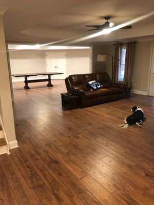 Comprehensive Basement Finishing Featuring Custom Tray Ceilings in Canton