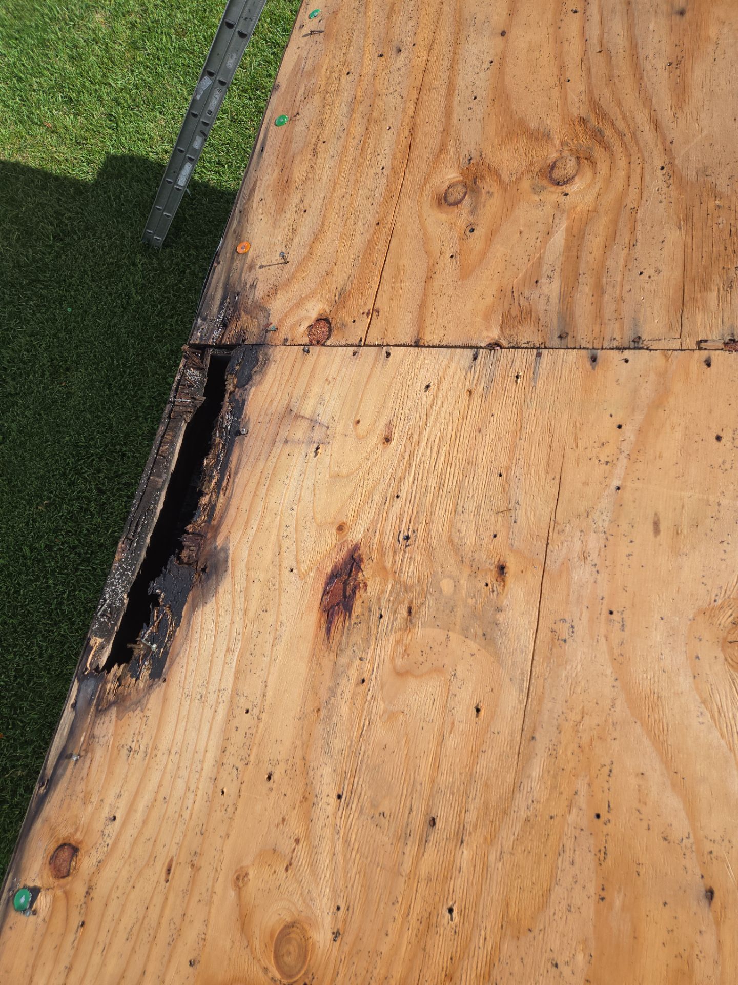 Project in Oldsmar 34677 by Mitchell Roofing Company LLC 