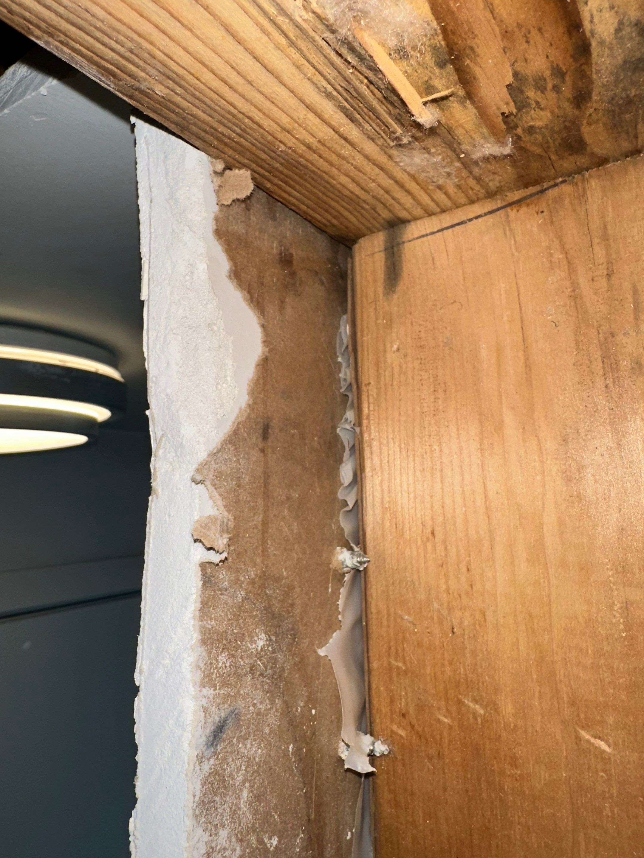 Water Damage in Denver, CO by Alpha Restoration 