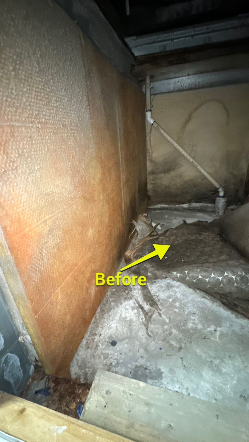 Commercial Air Duct Cleaning in Tavares by Hygienic Air, Inc