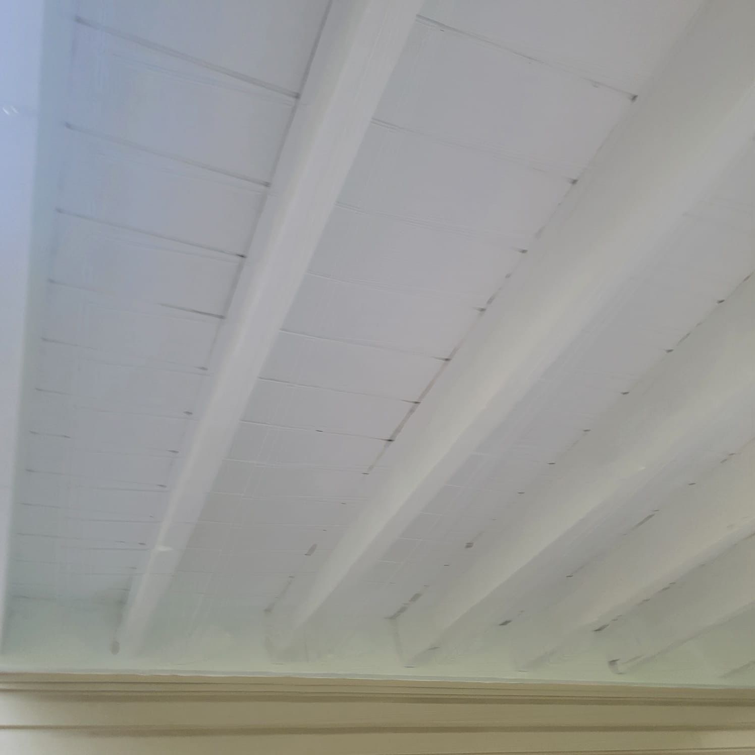 Deck Ceiling Painting in Conshohocken, PA by Davis Painting Llc 