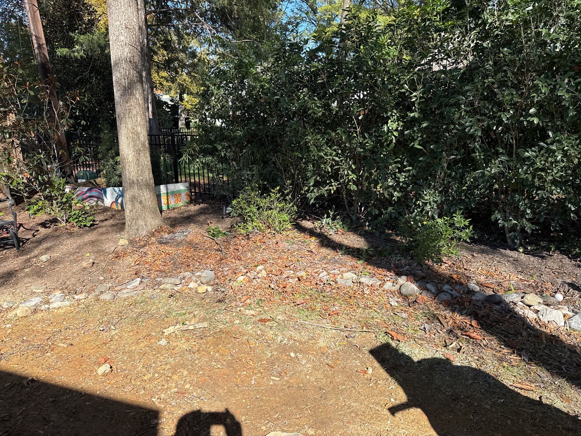 Project in Charlotte by Badger Hauling