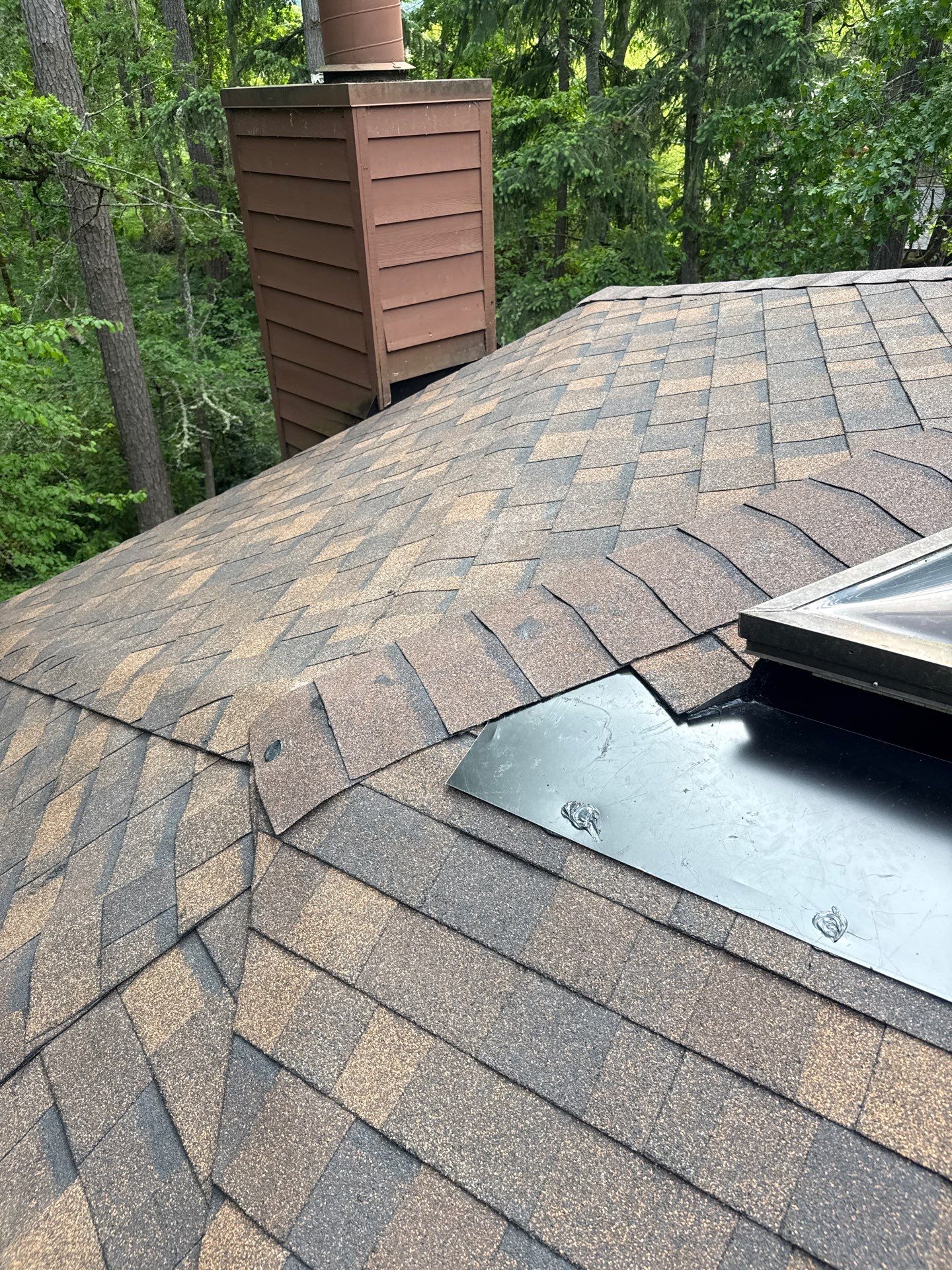 Custom Geodetic Dome Roof Replacement and Structural Repair in Eugene by BEST Roofing & Waterproofing