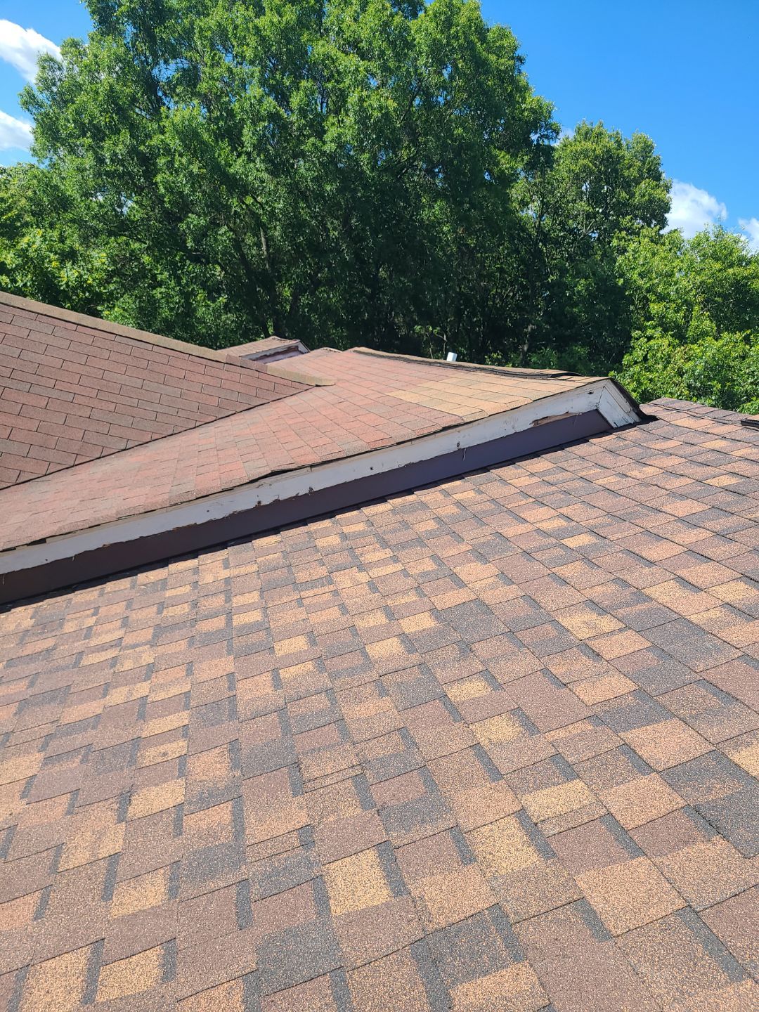 Alexandria: Roof Replacement with CertainTeed Landmark Pro in Max Def Burnt Sienna by RM Banning, Inc.