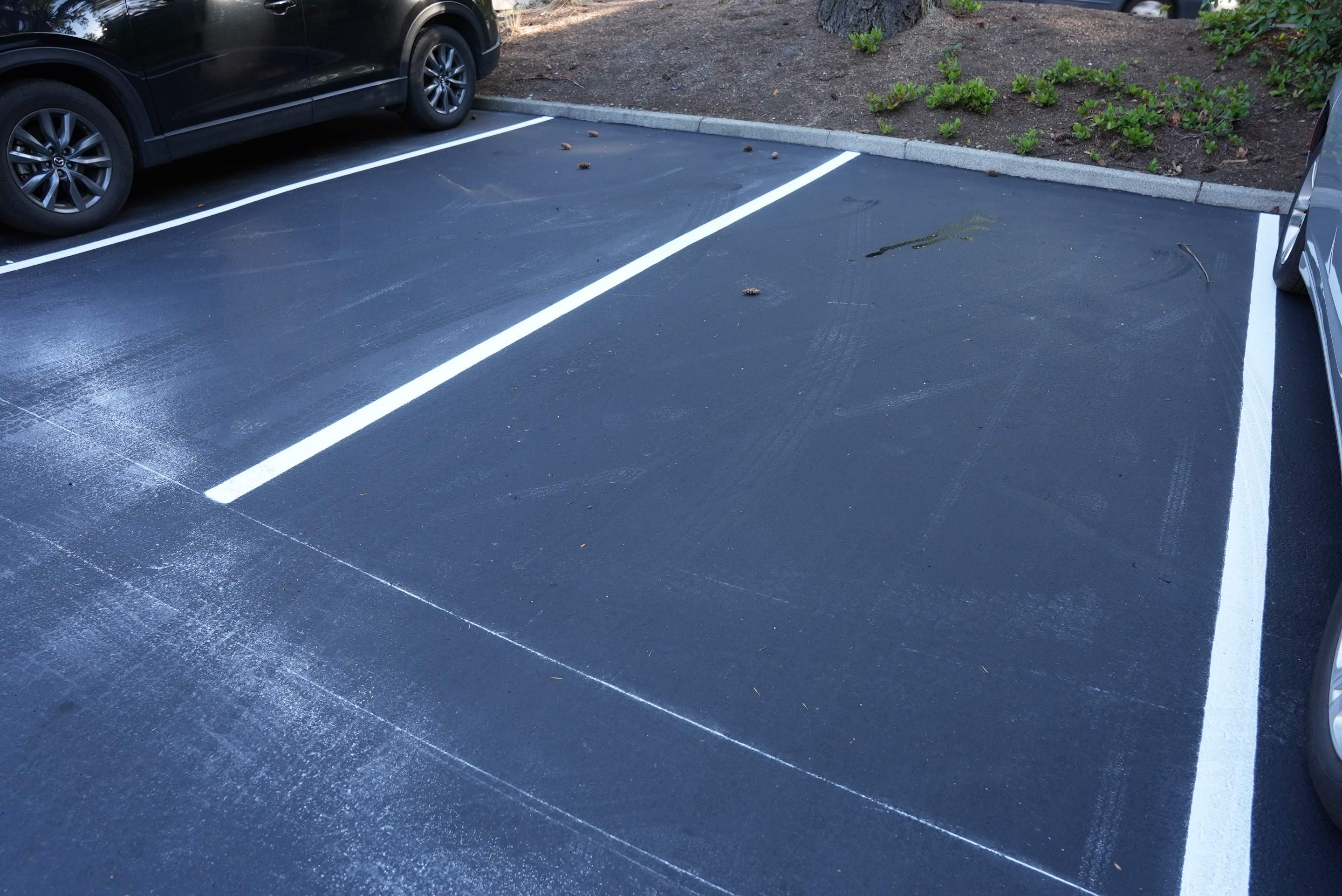 Buchan | Business Parking Lot Repair & Striping by Jireh Asphalt & Concrete Inc 