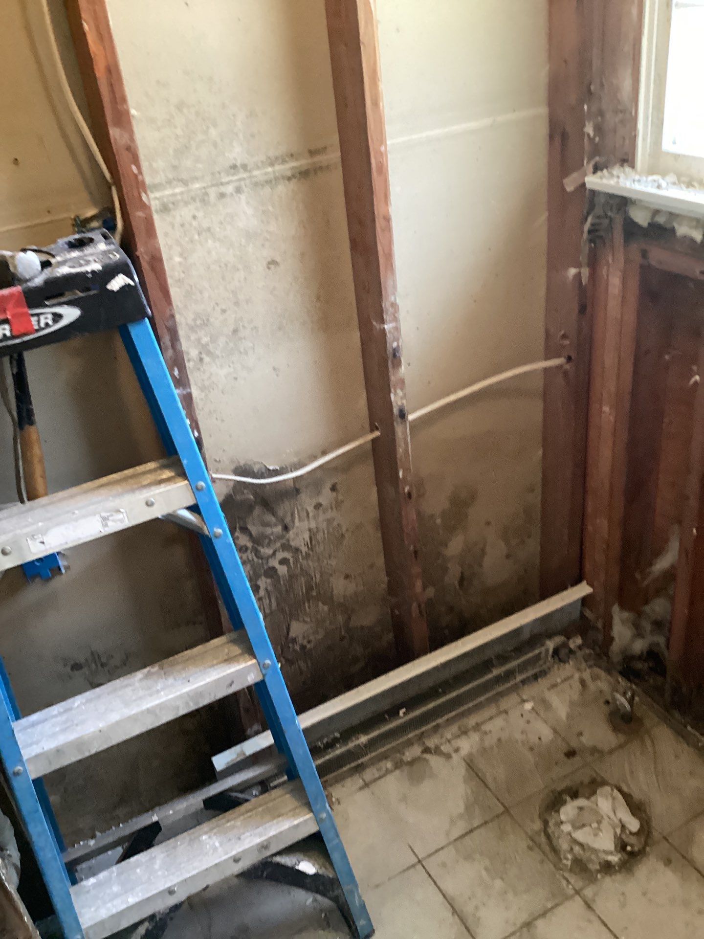 Mold Remediation and Water Damage Repair in Stonybrook, NY by Newhouse Restoration