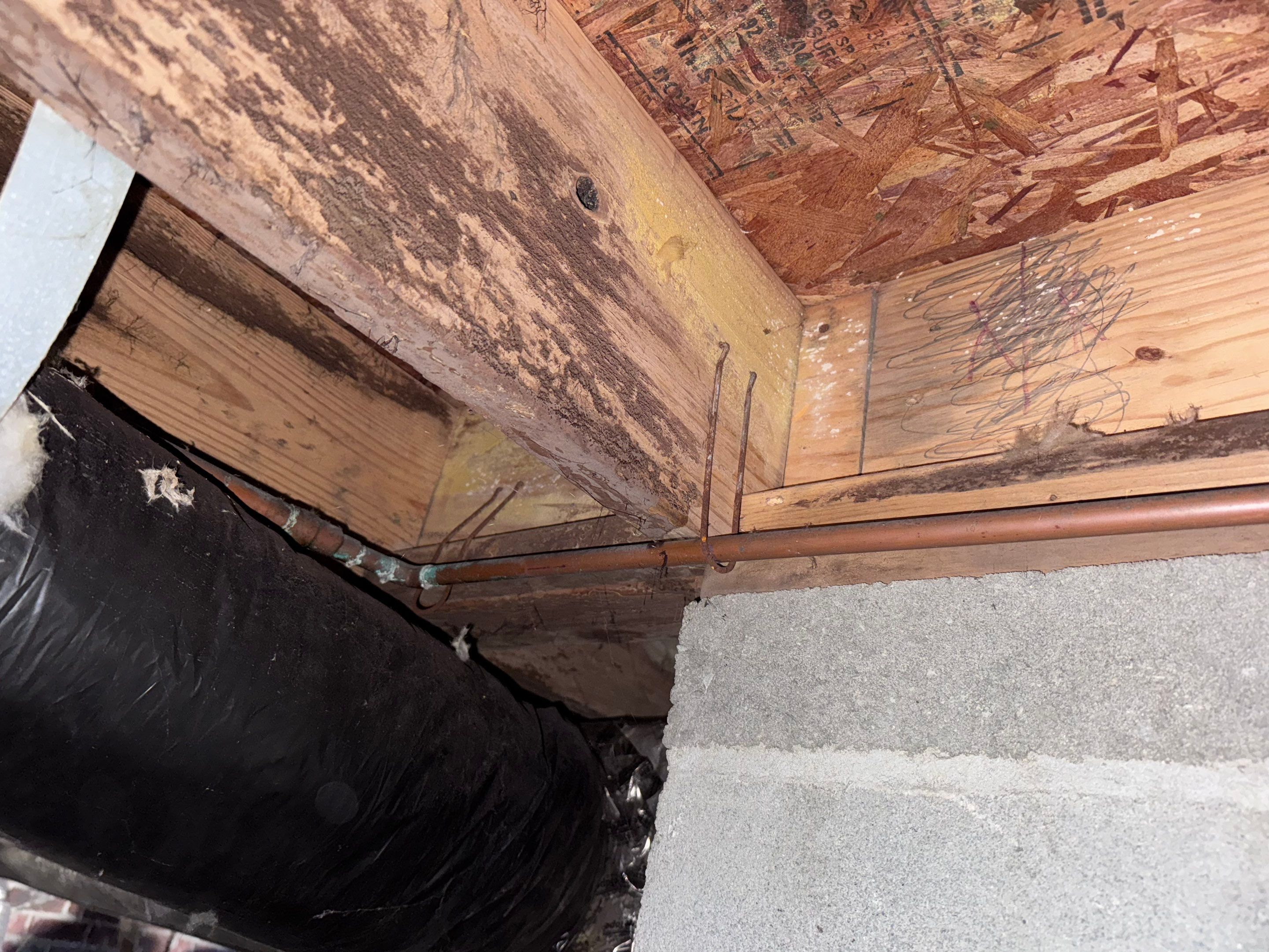 Structural Repairs inludiing sub-floor removal, new floor joists installed, girder replacmeent and dropped girder installed. by Impact Crawlspace