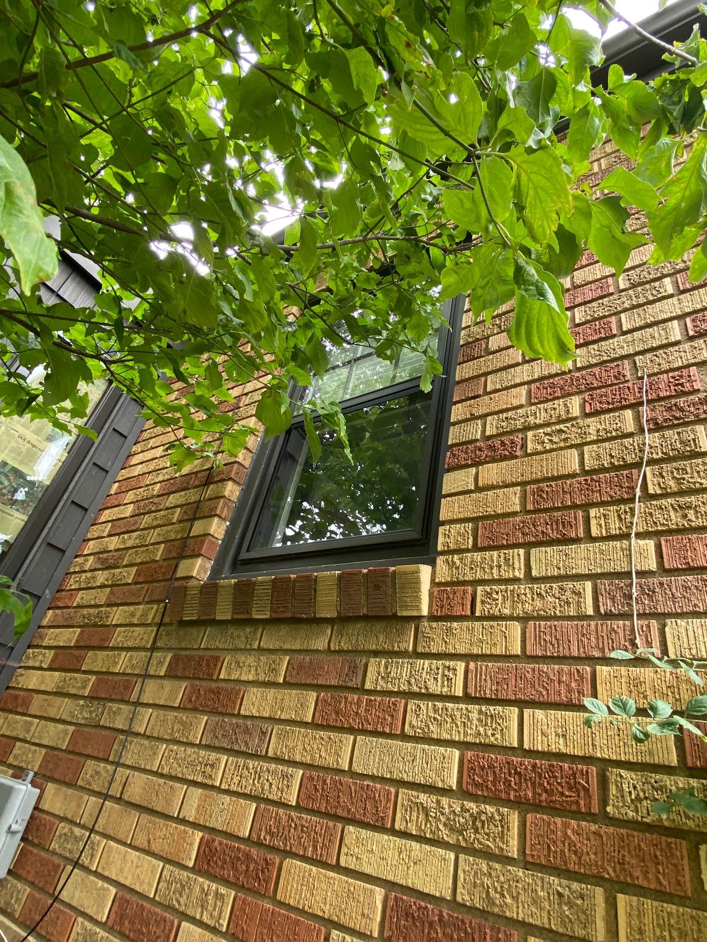 Dark Bronze Exterior Window Replacement Project in Omaha by Carps Complete Exteriors