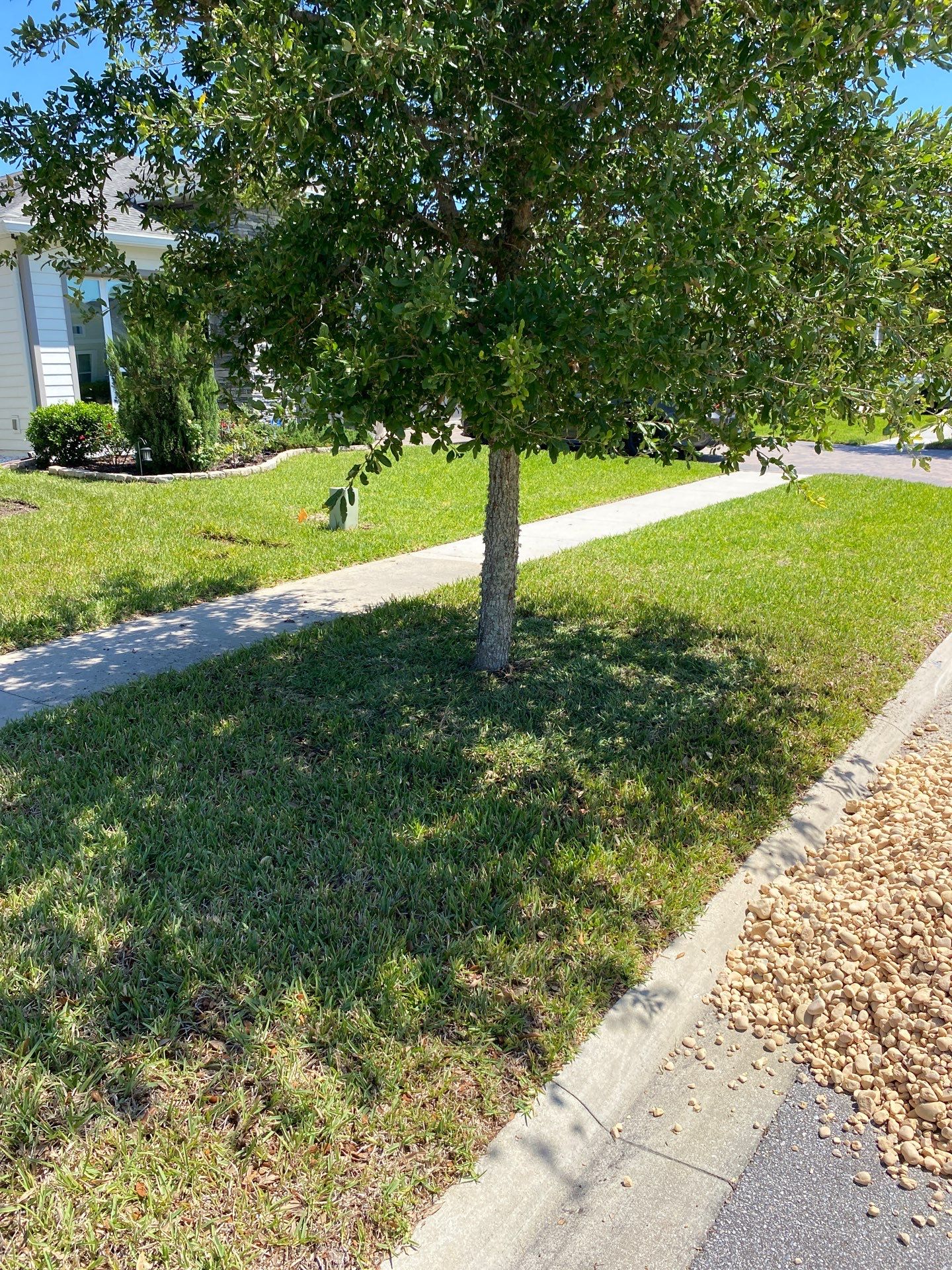 Residential | Clean-up, Sod and Rock Installation by ProGreen Services