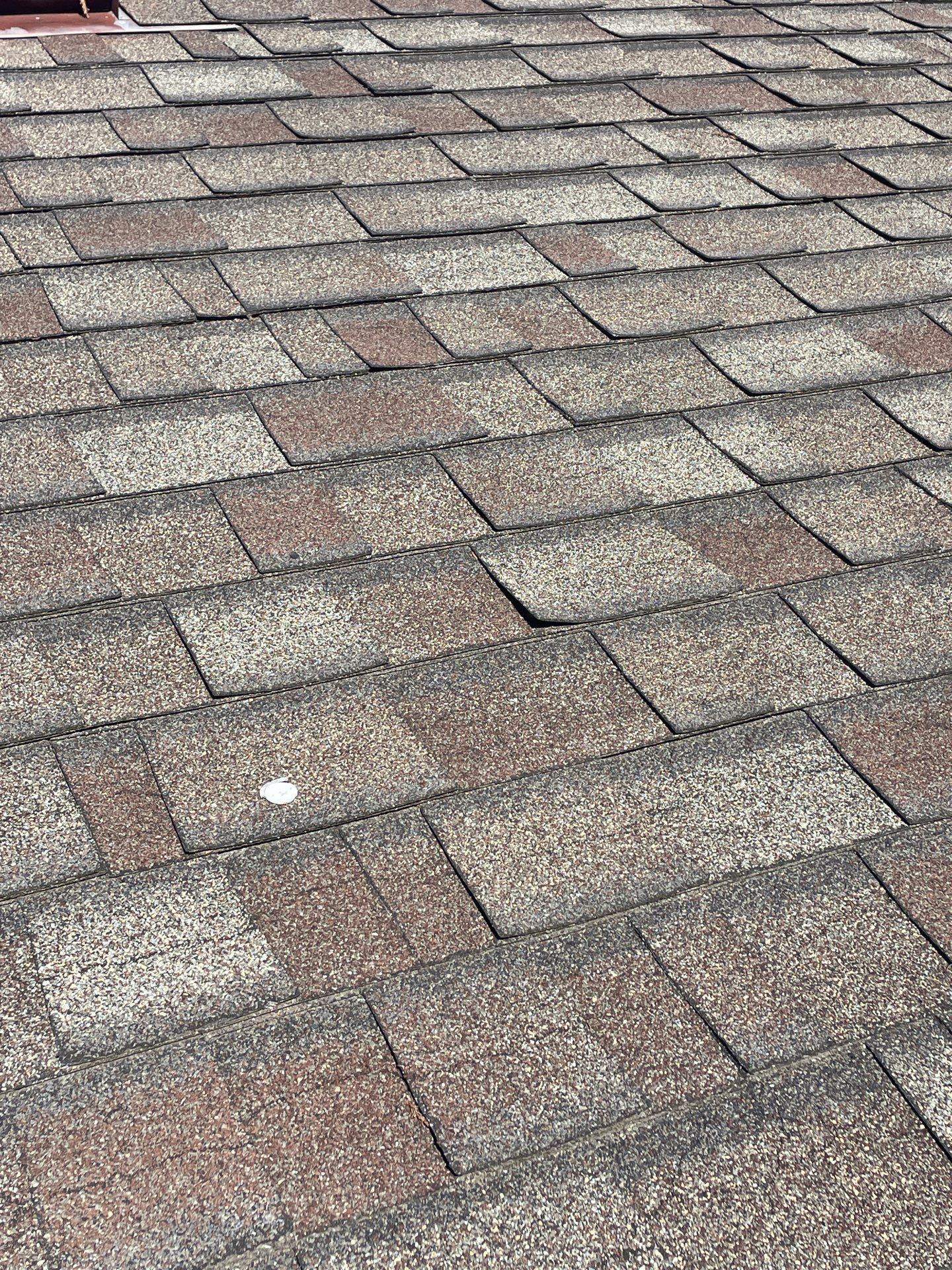 Roof Rejuvenation using Roof Maxx Treatment by Roof Maxx of Folsom