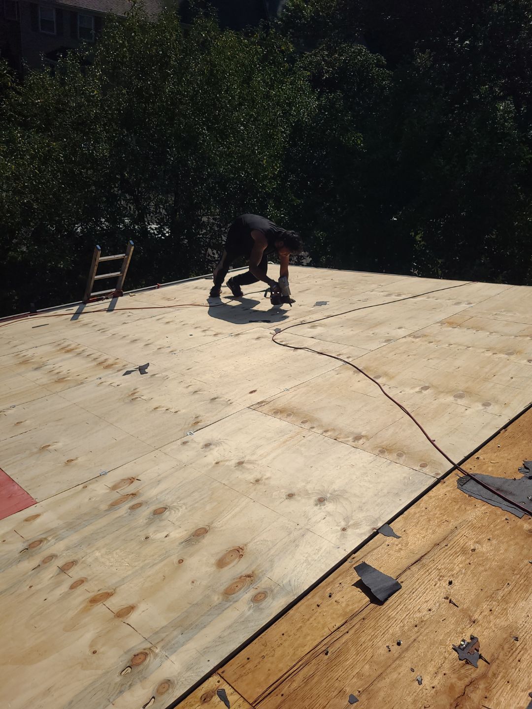 Springfield: Roof Replacement with Landmark Pro Designer Shingles in Max Def Shenandoah by RM Banning, Inc.