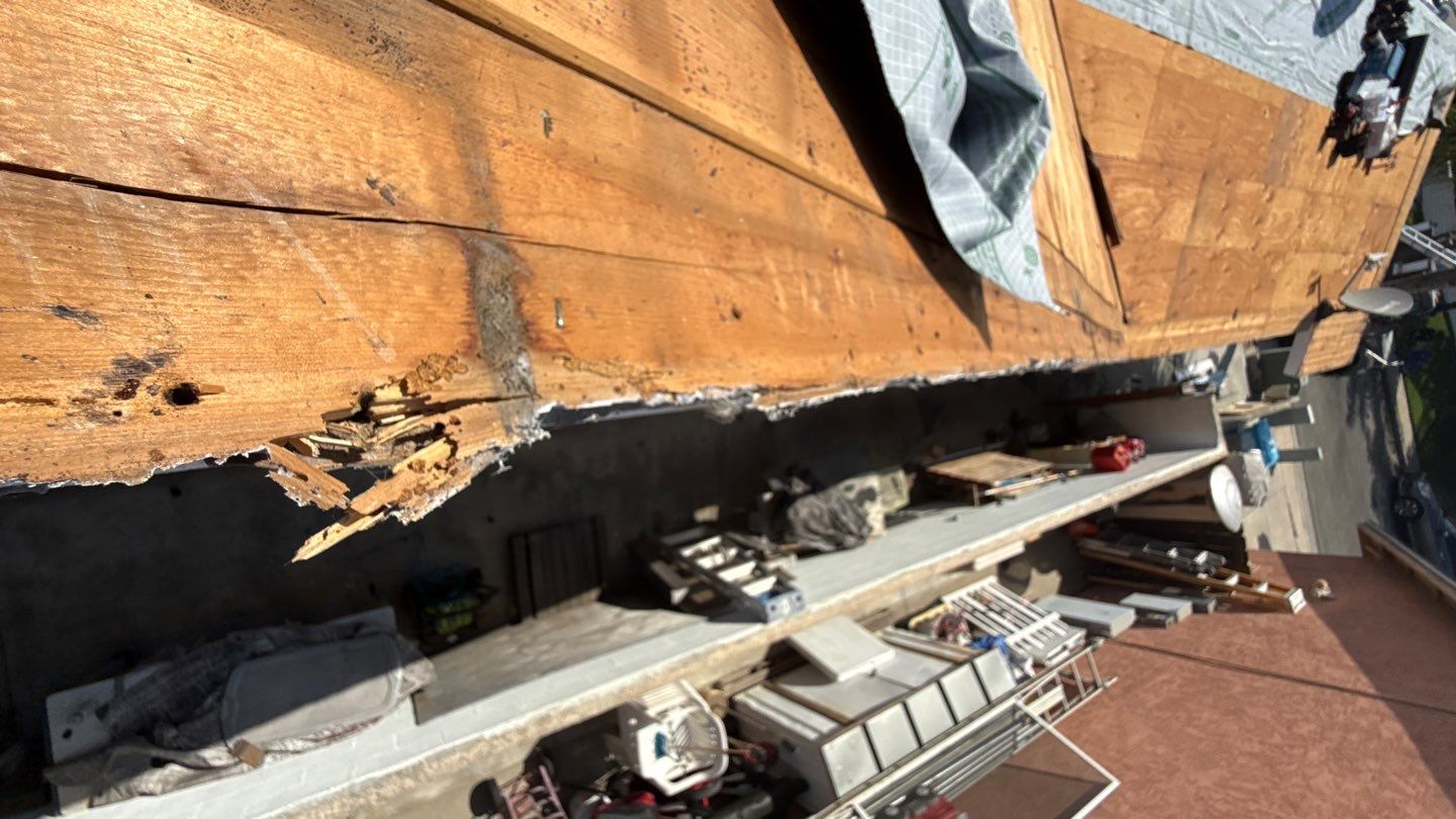 San Diego Roof Replacement and Wood Fascia Repair with Malarkey Materials by Reliable Roofing San Diego Inc.