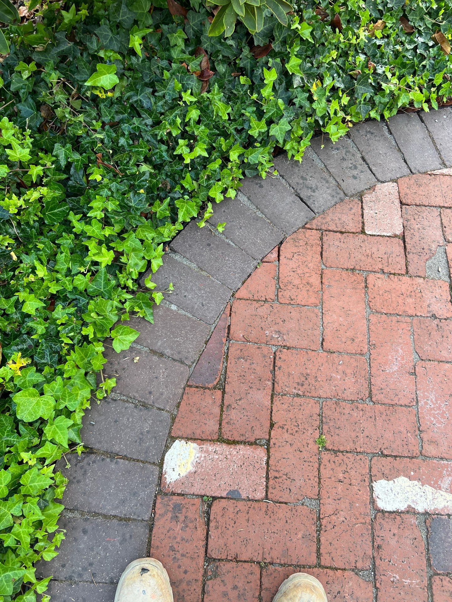 Edmonds Brick Patio Renovation by Jireh Asphalt & Concrete Inc 
