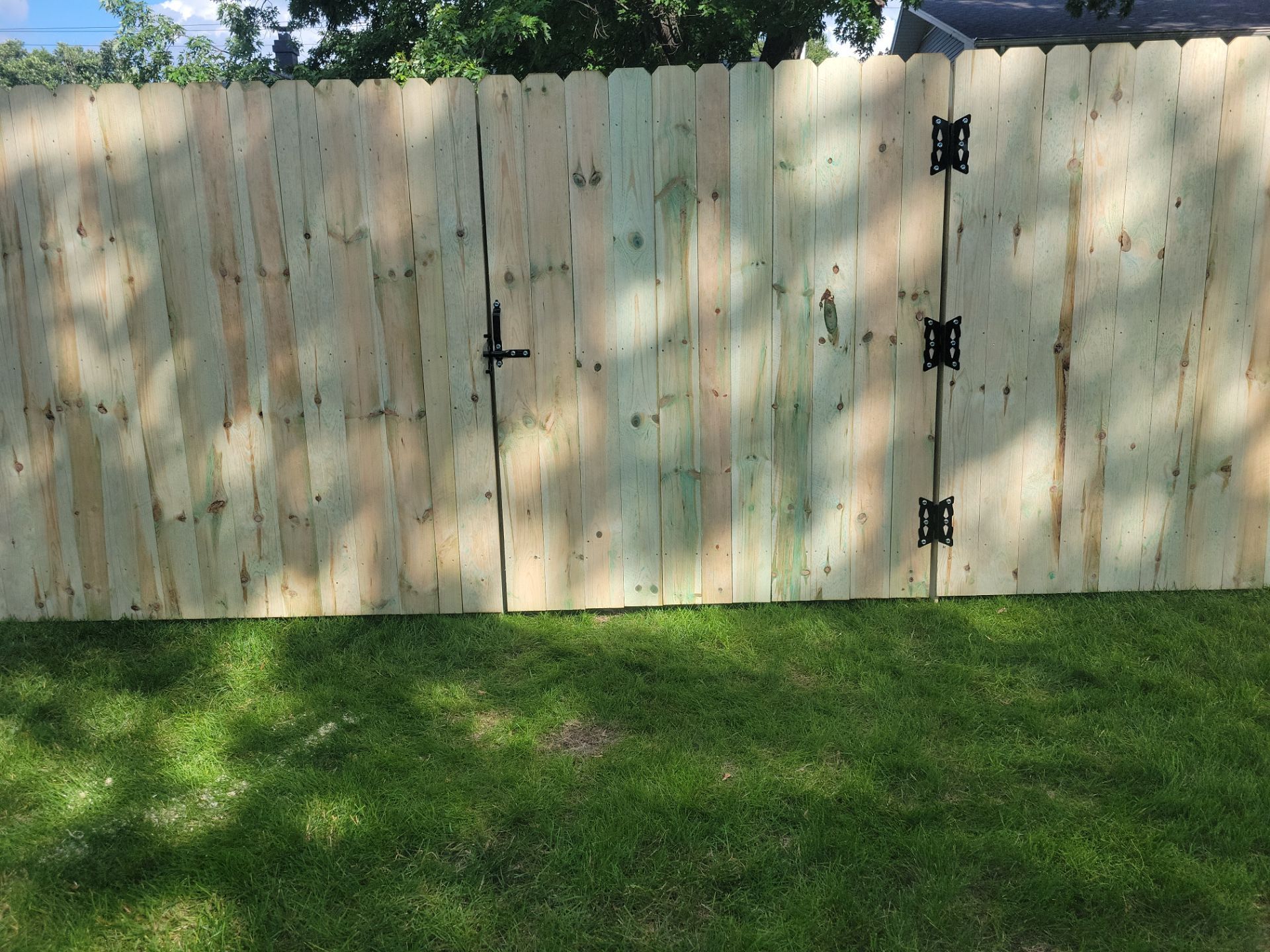 Pressure-Treated Pine Privacy Fence and Custom Gates in Waterloo by Perfect Picket Fence and Stain