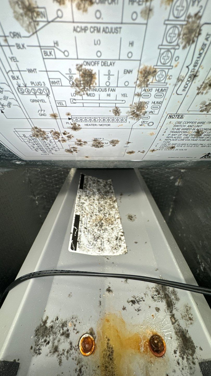 Commercial Air Duct Cleaning in Clermont by Hygienic Air, Inc