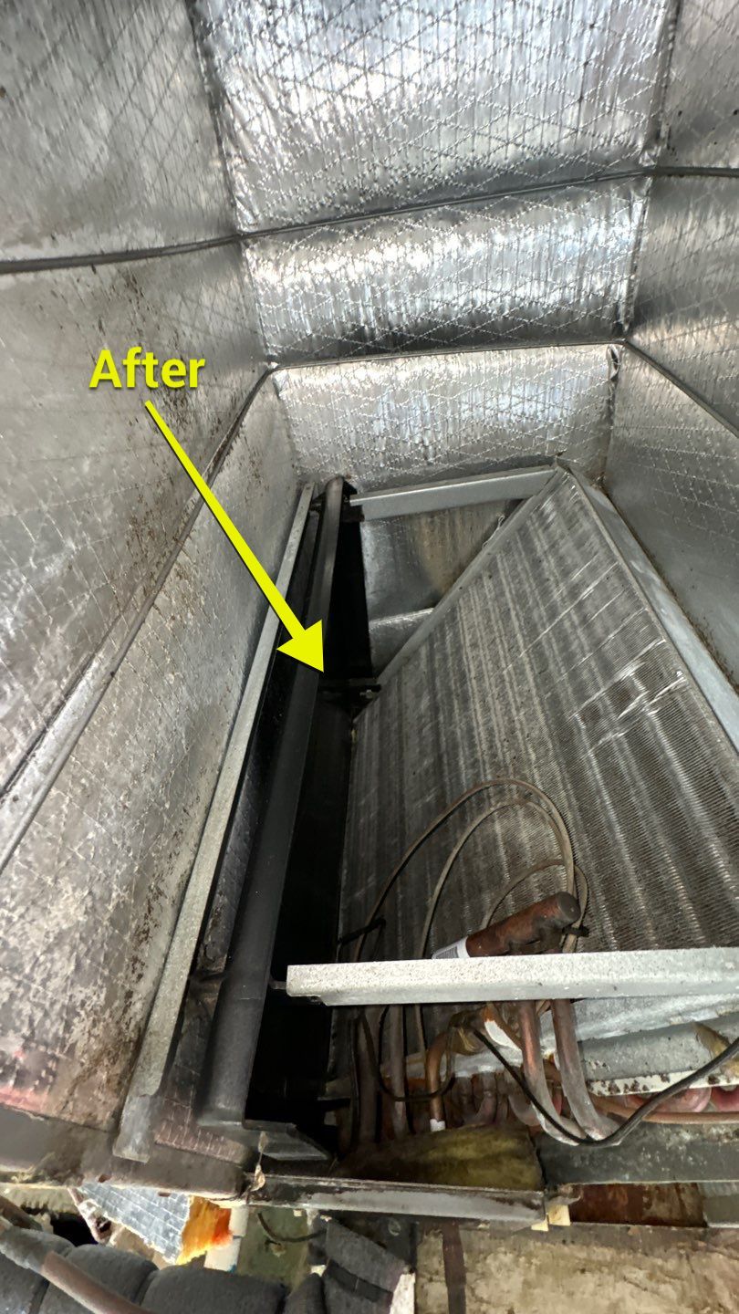 Air Duct Cleaning in Orlando by Hygienic Air, Inc