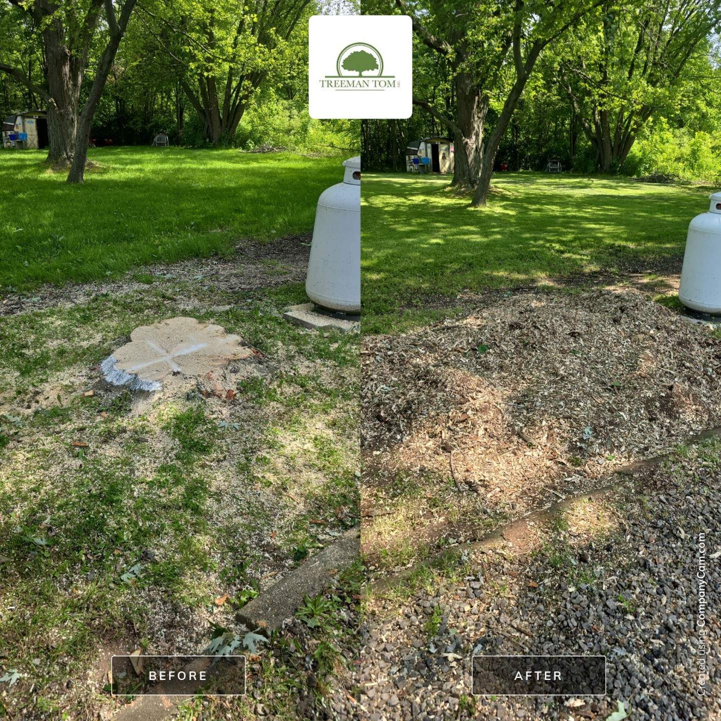 Removal for Future Projects  by Treeman Tom LLC
